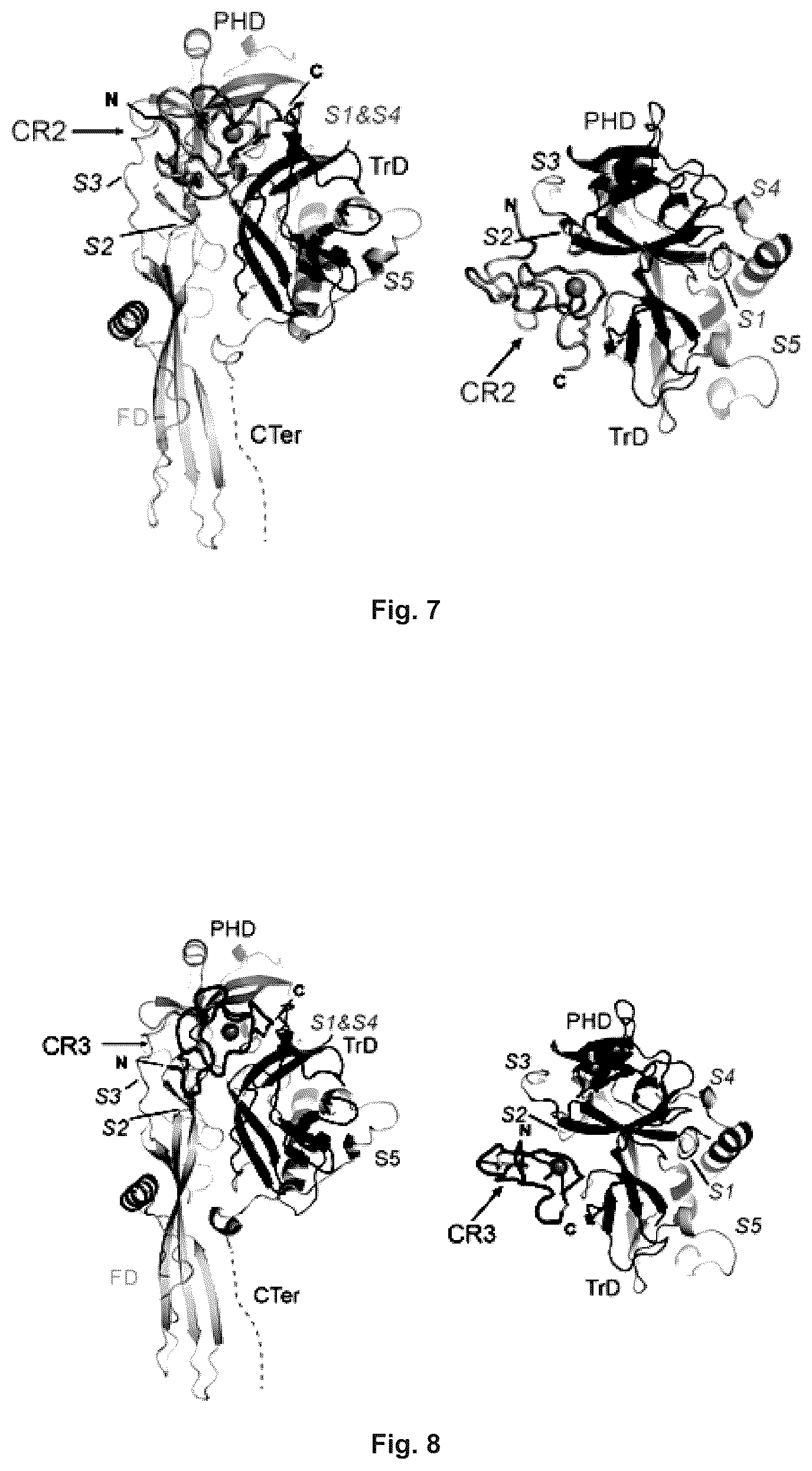 Patent US12410216 Figure 4 – Mutated glycoprotein of vesicular stomatitis virus