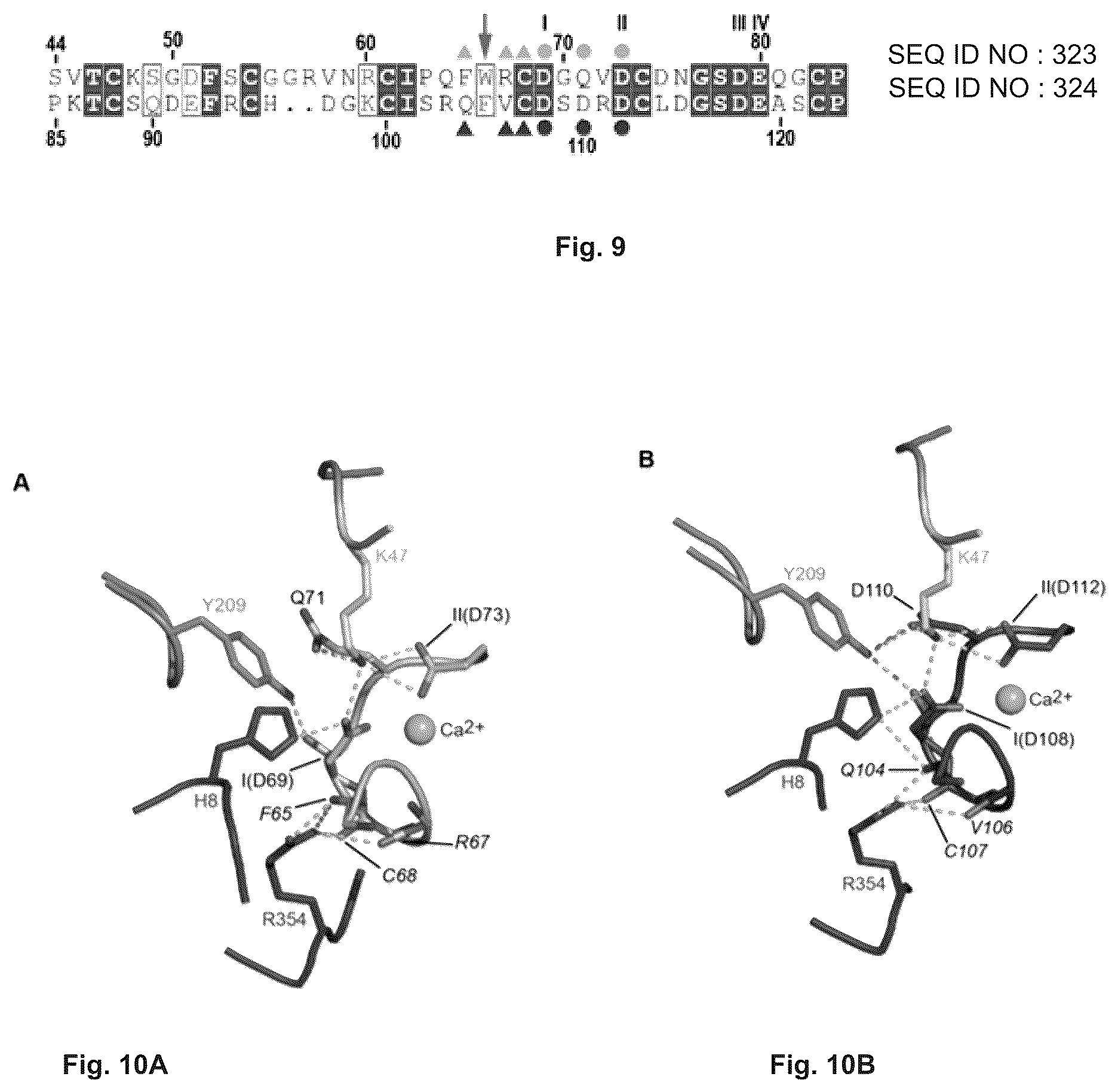 Patent US12410216 Figure 5 – Mutated glycoprotein of vesicular stomatitis virus