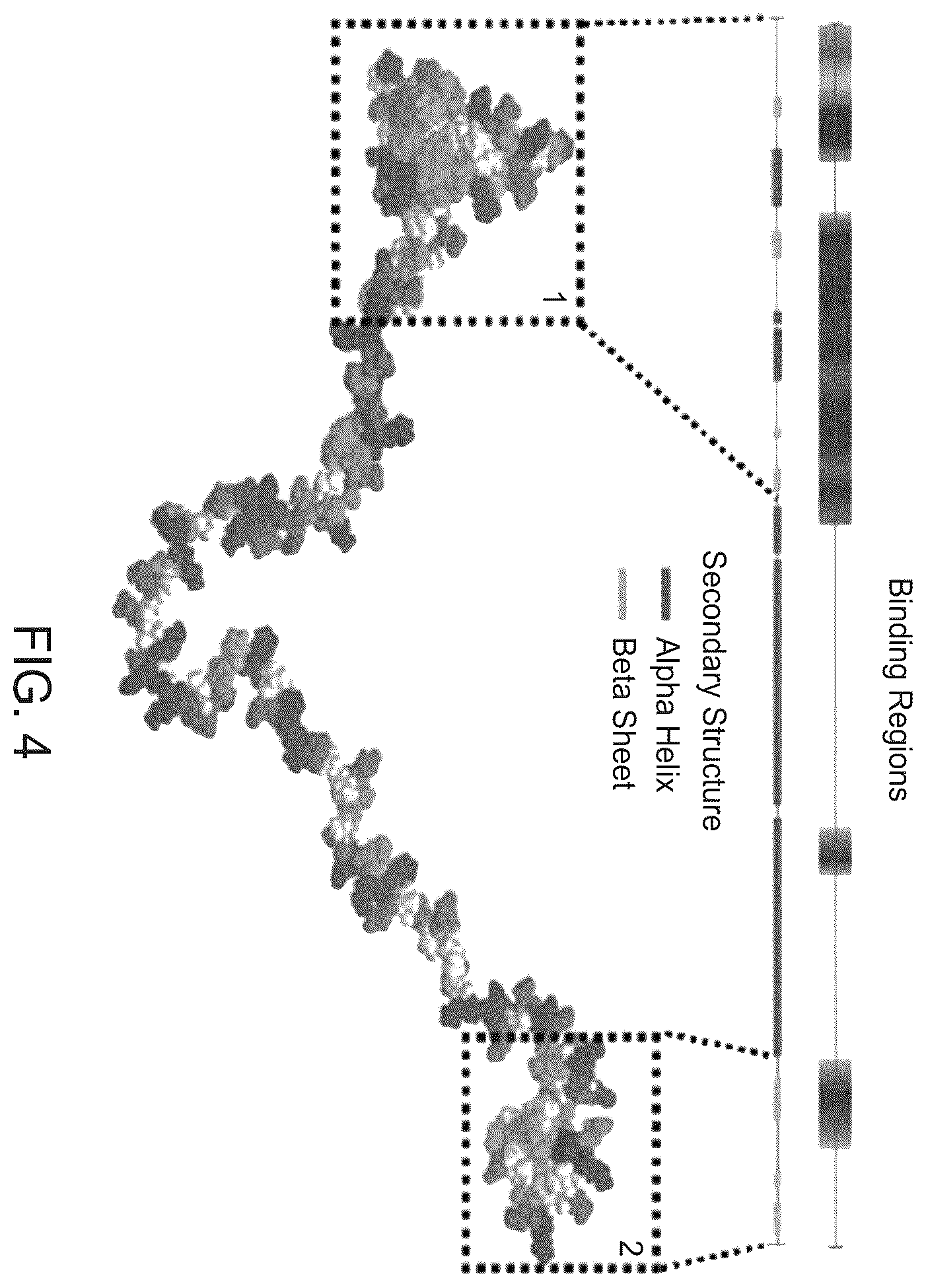 Patent US12410217 Figure 4 – Proteins for stabilization of biological material