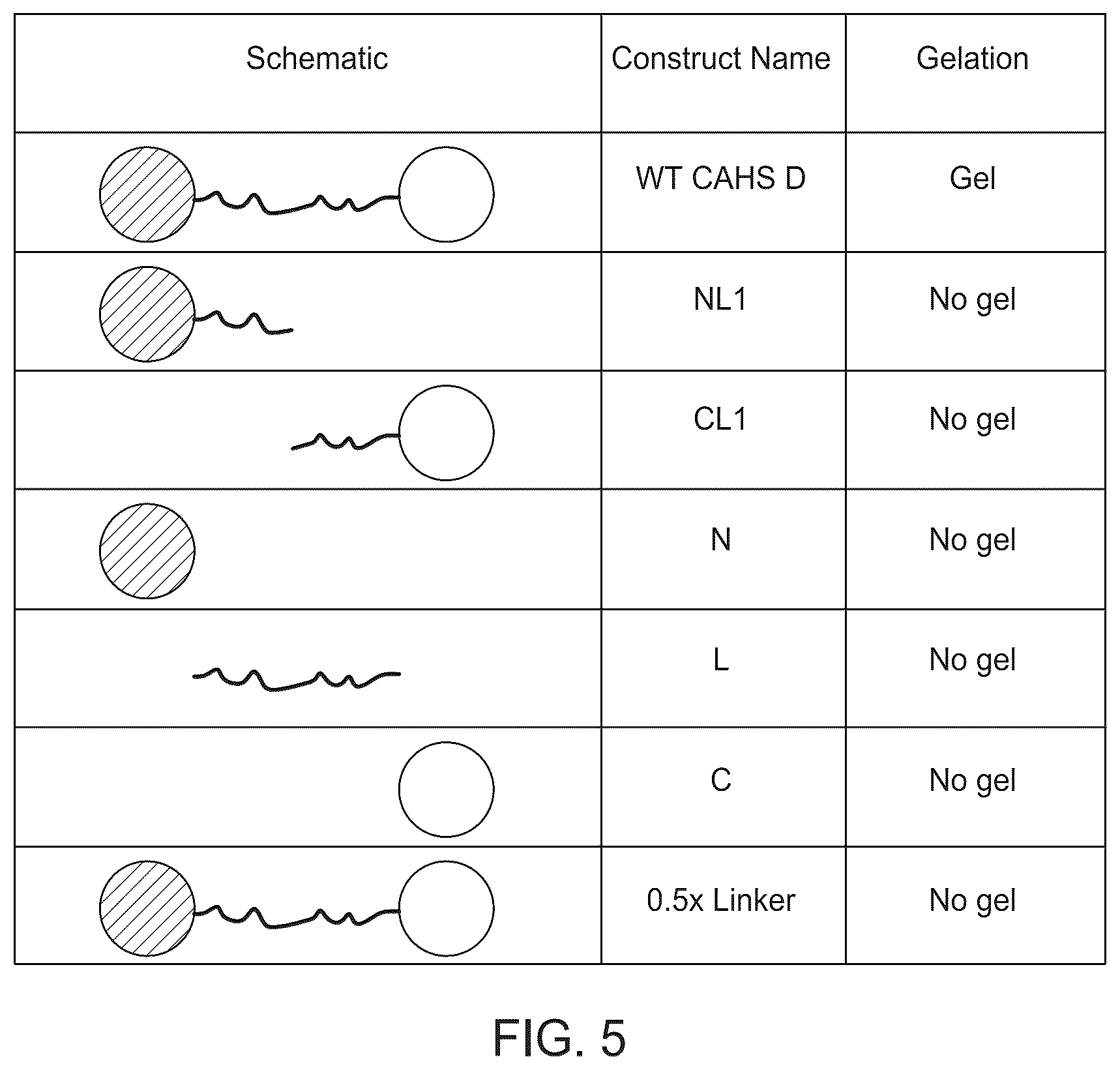 Patent US12410217 Figure 5 – Proteins for stabilization of biological material