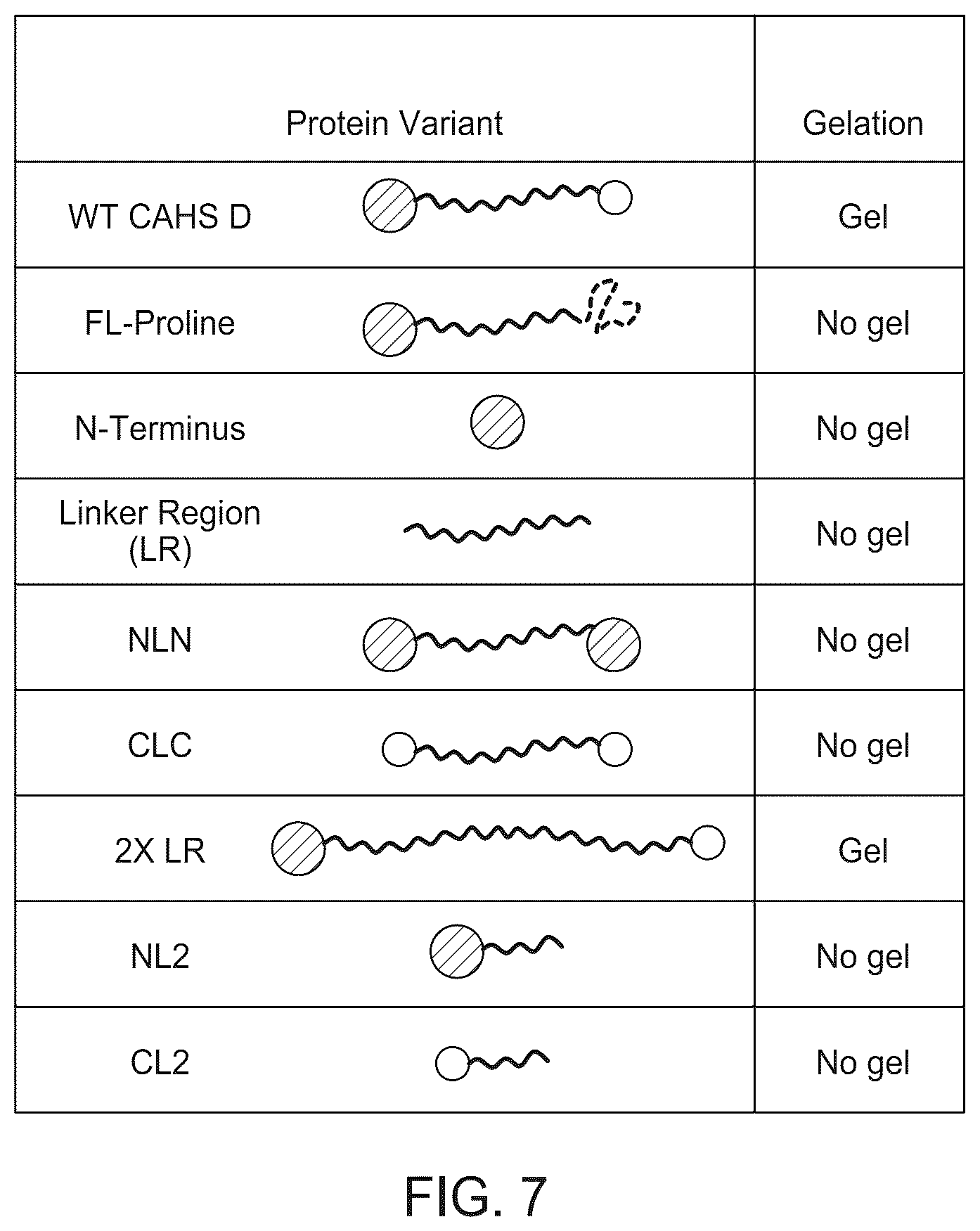 Patent US12410217 Figure 7 – Proteins for stabilization of biological material