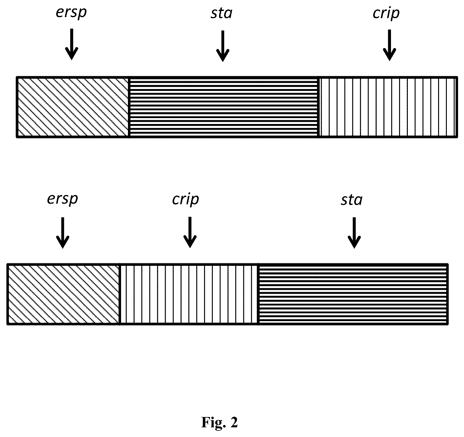 Patent US12410218 Figure 2 – Insecticidal peptide production and combination of cysteine rich peptides