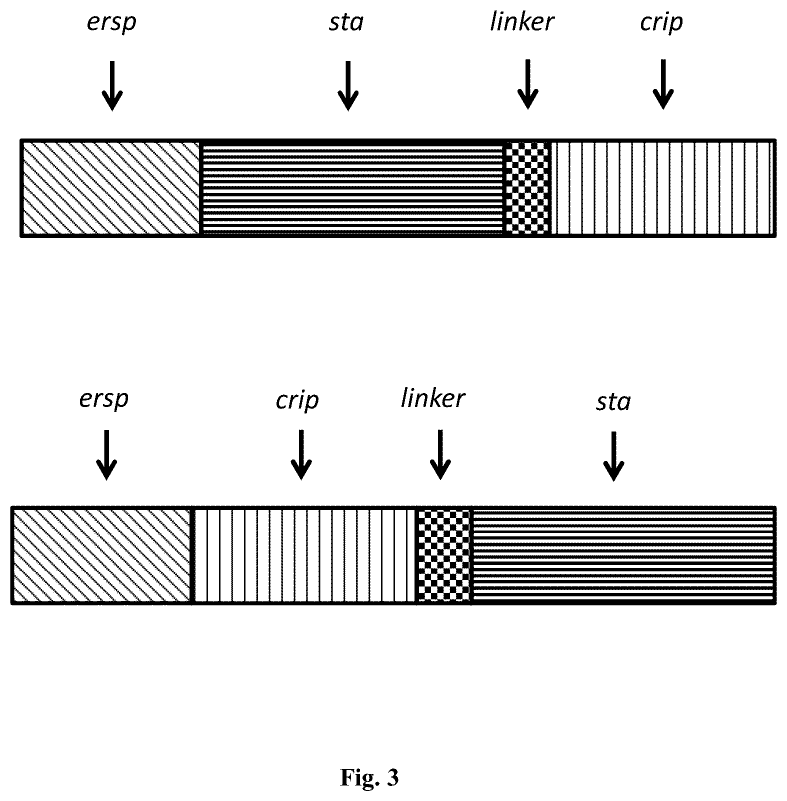 Patent US12410218 Figure 3 – Insecticidal peptide production and combination of cysteine rich peptides