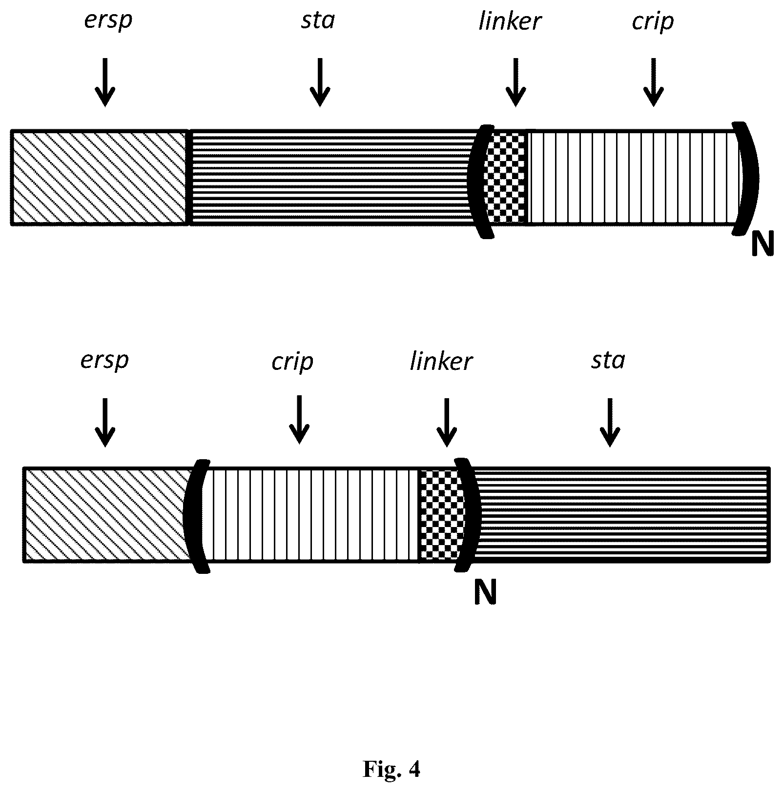 Patent US12410218 Figure 4 – Insecticidal peptide production and combination of cysteine rich peptides
