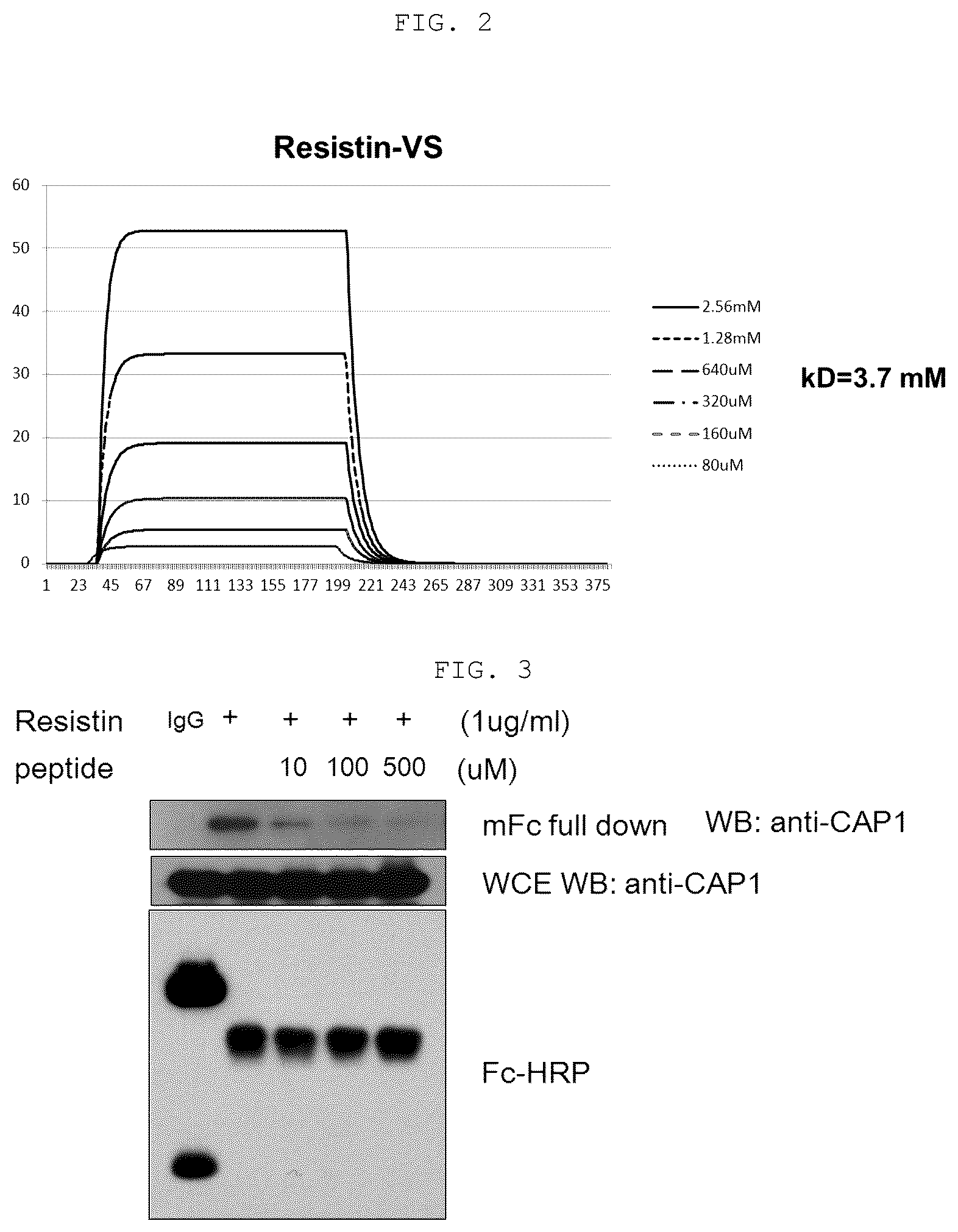 Patent US12410219 Figure 2 – Polypeptide derived from CAP1 and pharmaceutical composition comprising same as effective ingredient