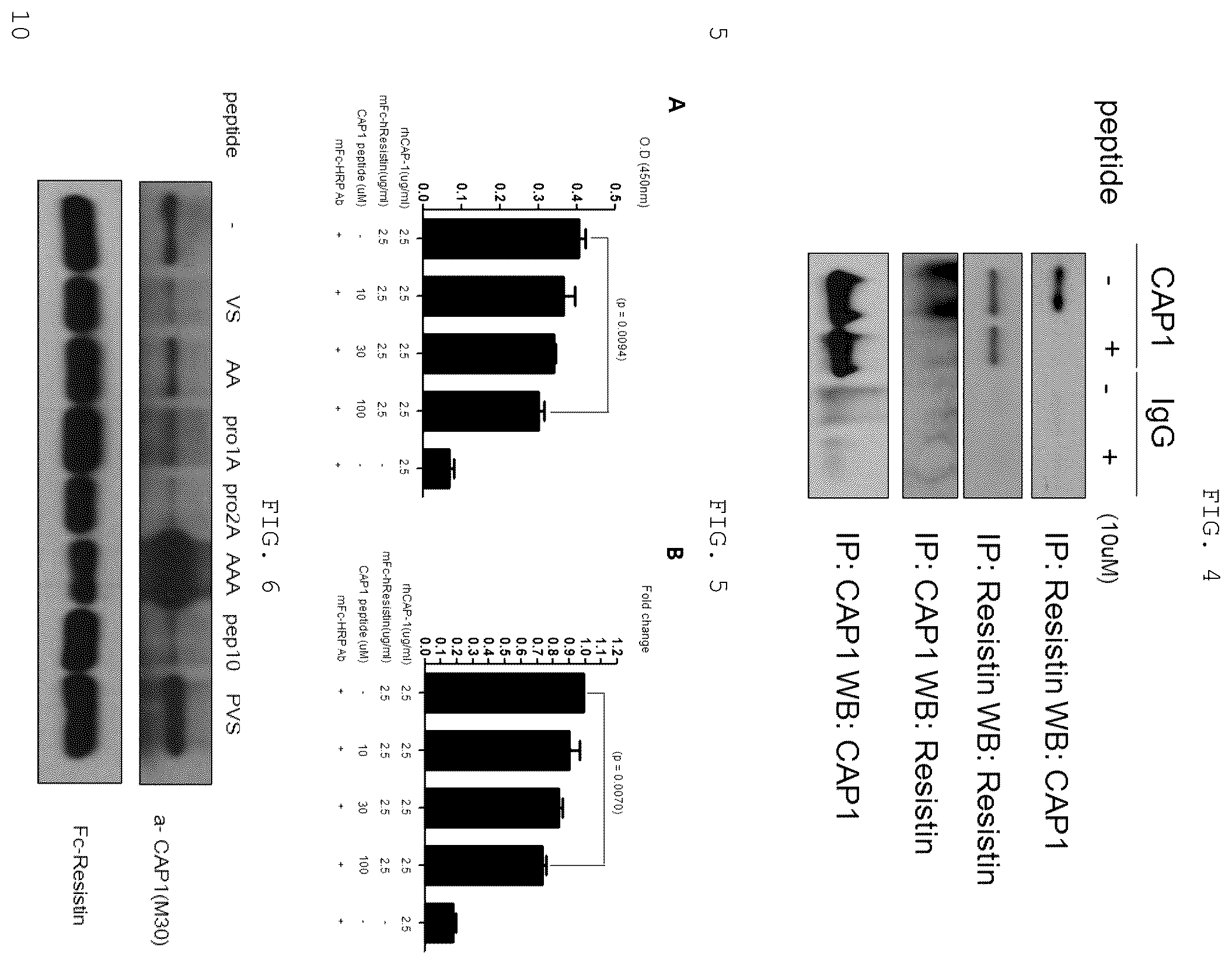 Patent US12410219 Figure 3 – Polypeptide derived from CAP1 and pharmaceutical composition comprising same as effective ingredient