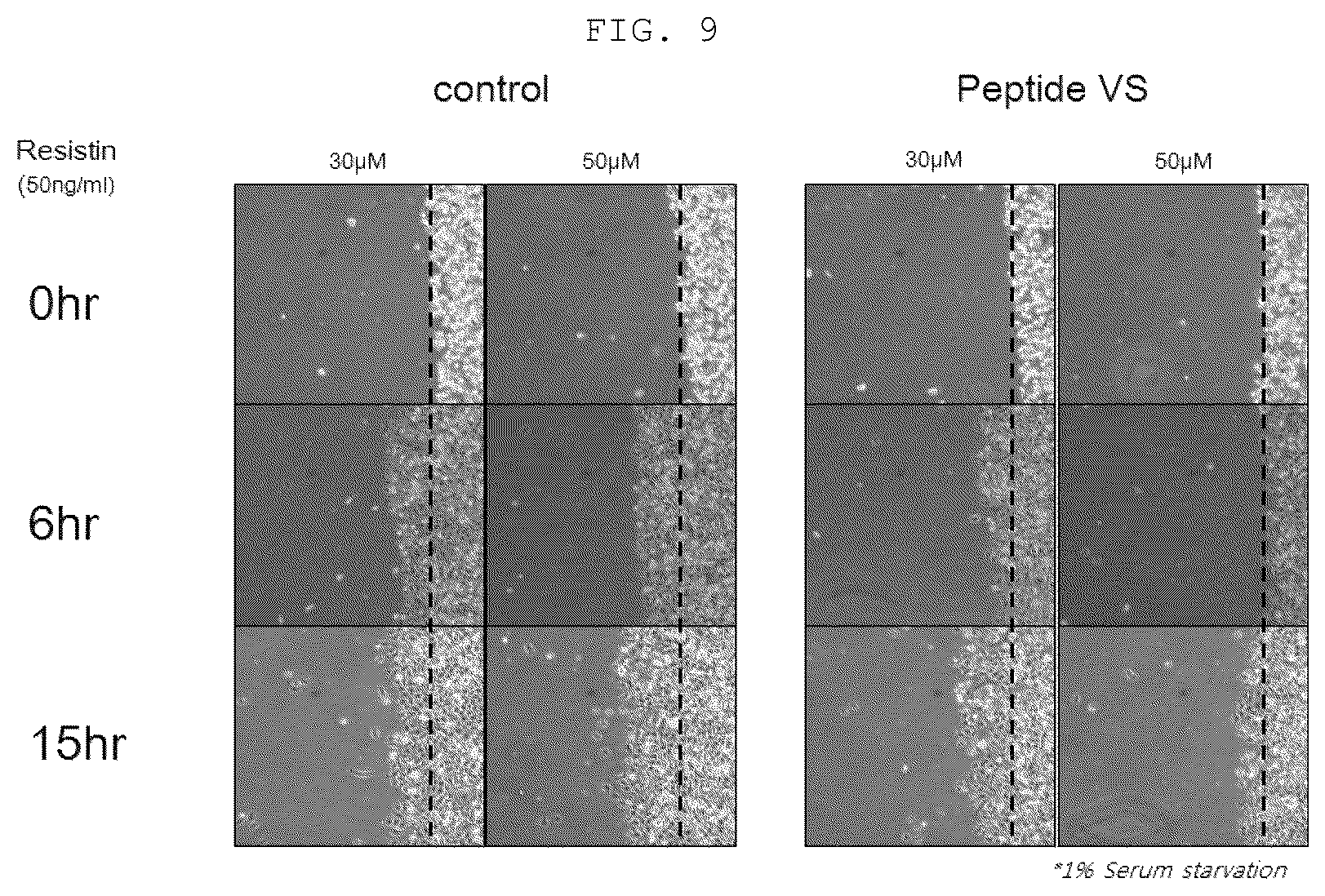 Patent US12410219 Figure 5 – Polypeptide derived from CAP1 and pharmaceutical composition comprising same as effective ingredient