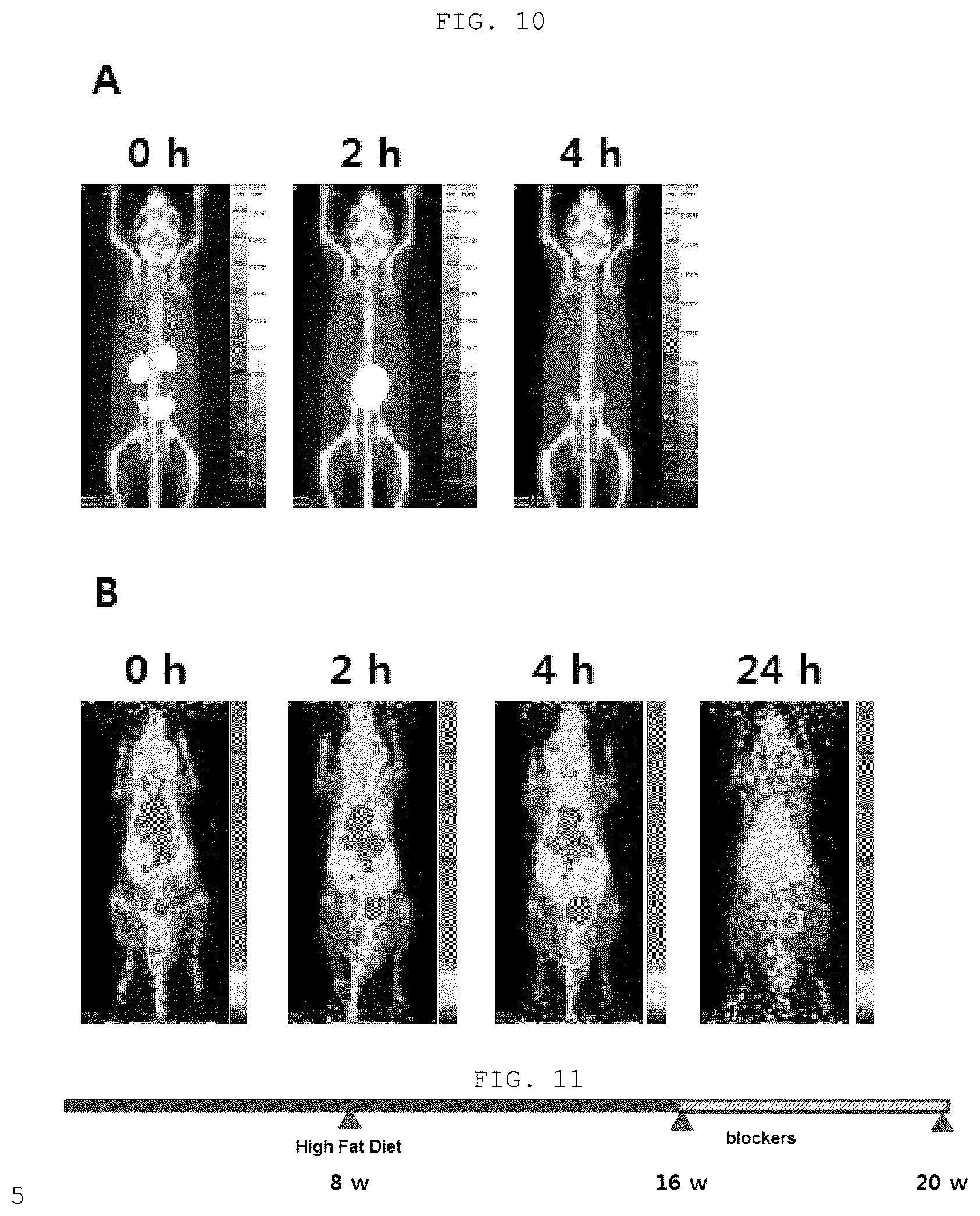 Patent US12410219 Figure 6 – Polypeptide derived from CAP1 and pharmaceutical composition comprising same as effective ingredient