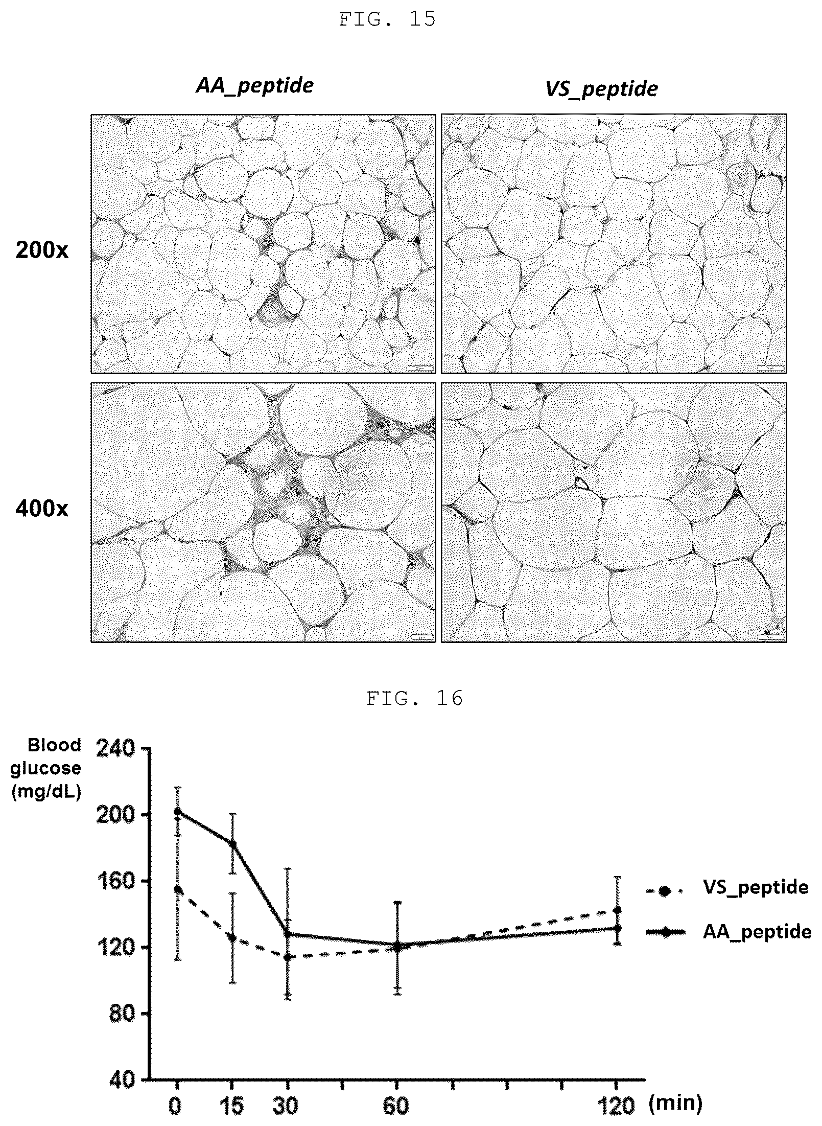 Patent US12410219 Figure 9 – Polypeptide derived from CAP1 and pharmaceutical composition comprising same as effective ingredient