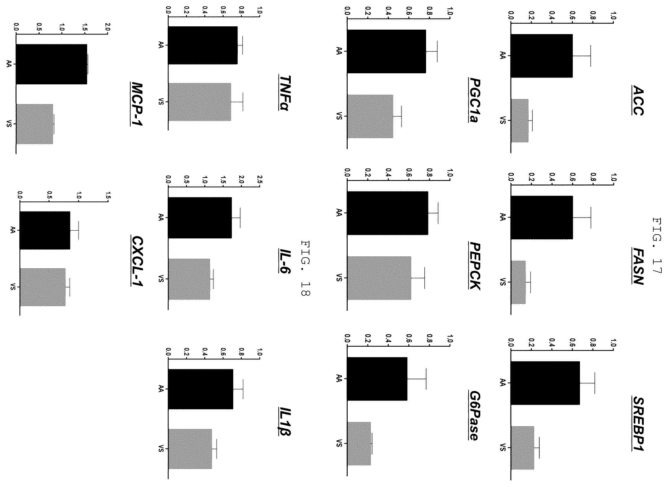 Patent US12410219 Figure 10 – Polypeptide derived from CAP1 and pharmaceutical composition comprising same as effective ingredient