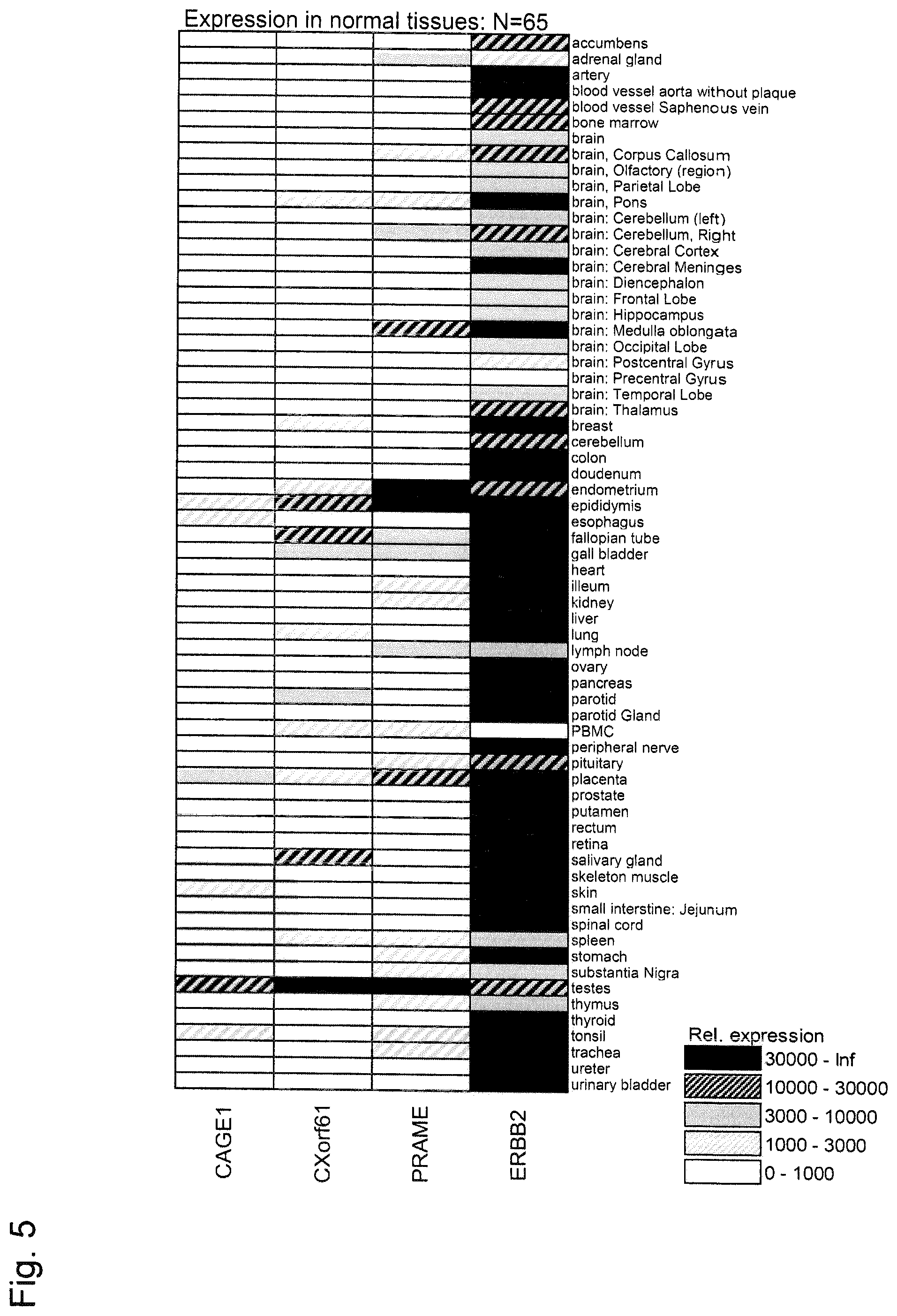 Patent US12410221 Figure 7 – Tumor antigens for determining cancer therapy