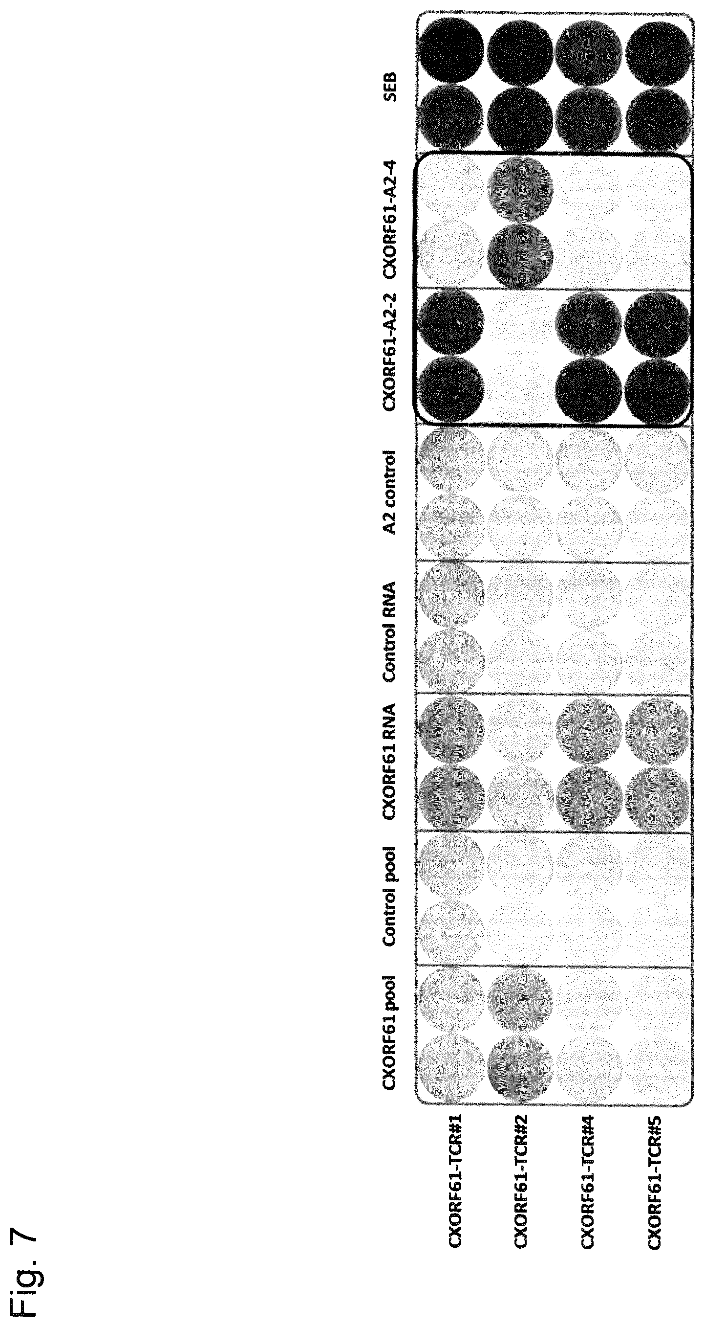 Patent US12410221 Figure 10 – Tumor antigens for determining cancer therapy