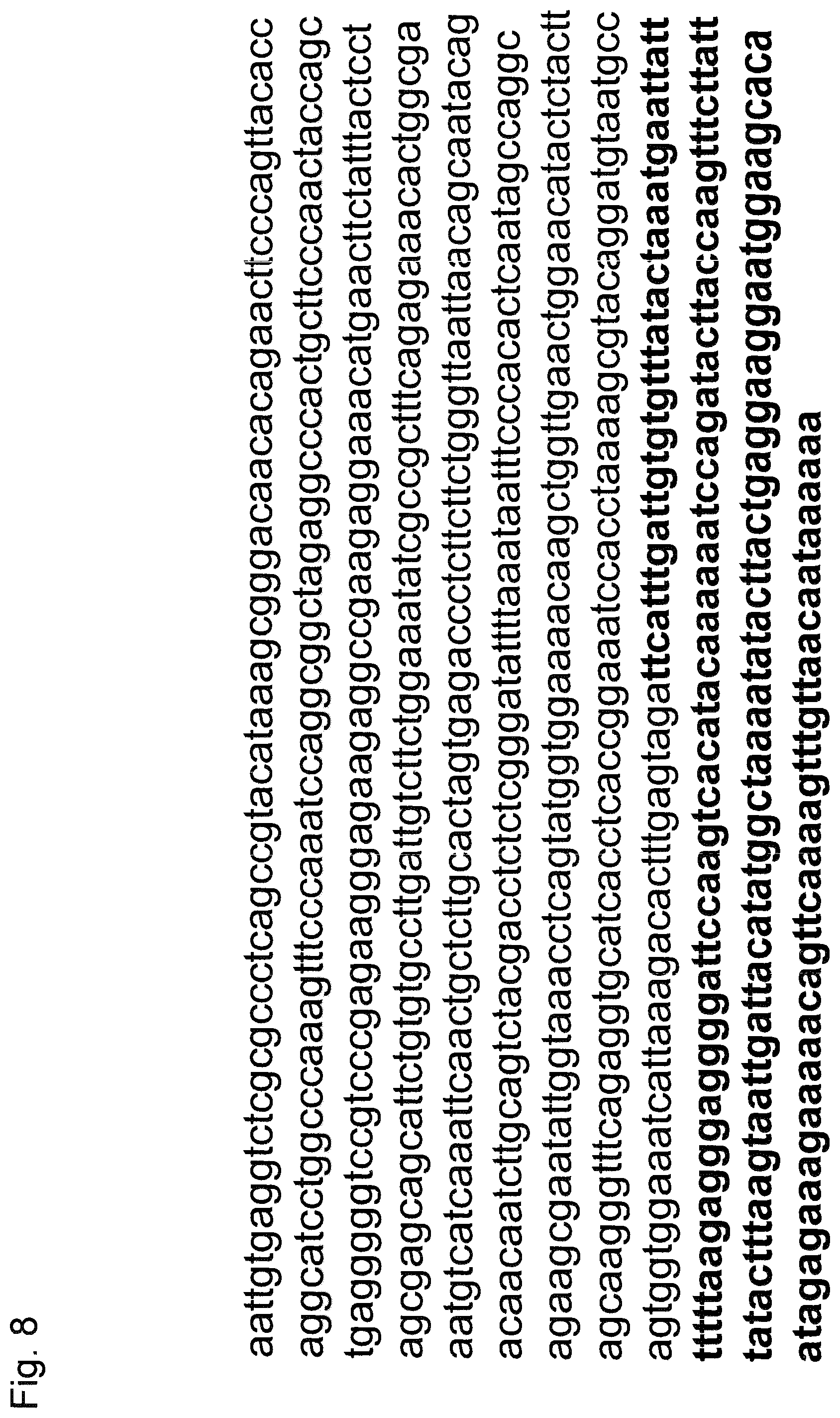Patent US12410221 Figure 11 – Tumor antigens for determining cancer therapy