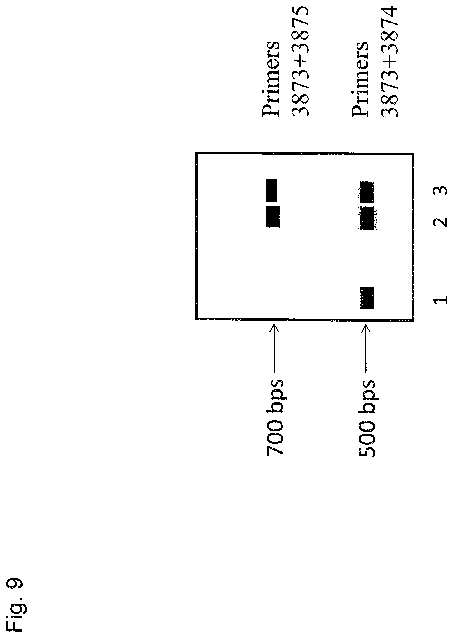 Patent US12410221 Figure 12 – Tumor antigens for determining cancer therapy