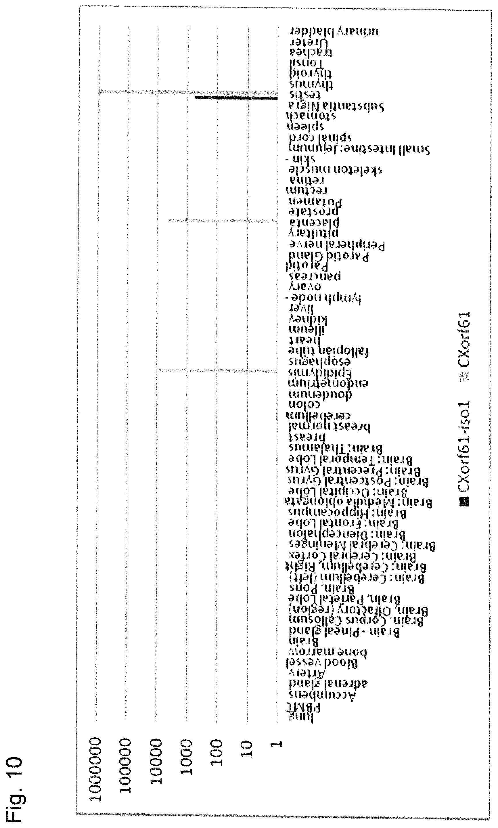 Patent US12410221 Figure 13 – Tumor antigens for determining cancer therapy