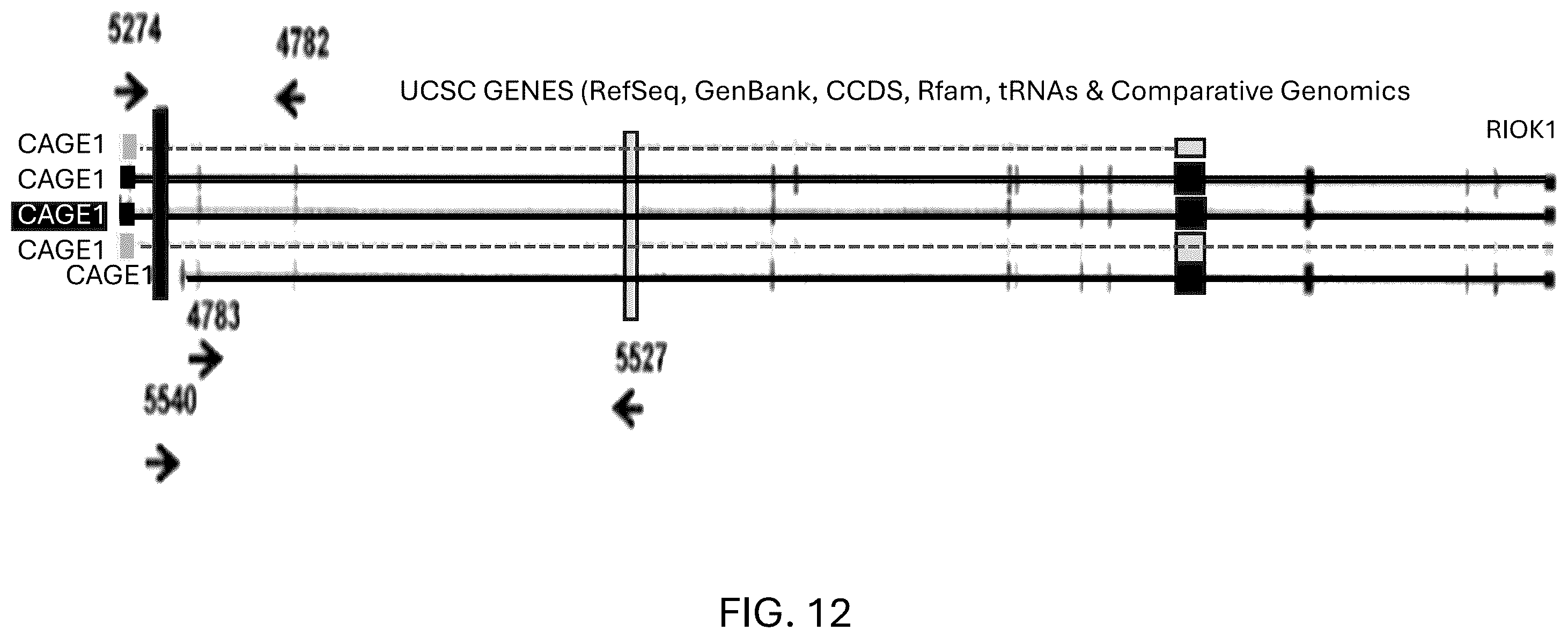 Patent US12410221 Figure 15 – Tumor antigens for determining cancer therapy