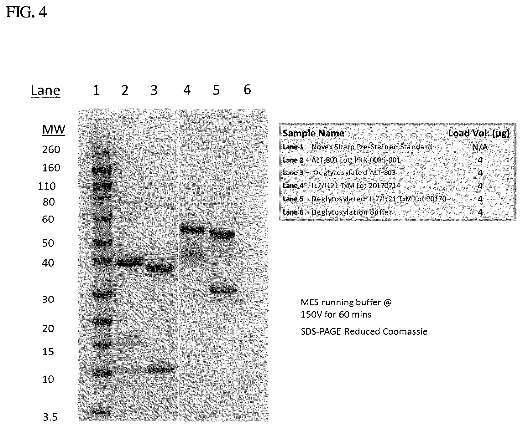 Patent US12410224 Figure 9 – IL-15-based fusions to IL-7 and IL-21