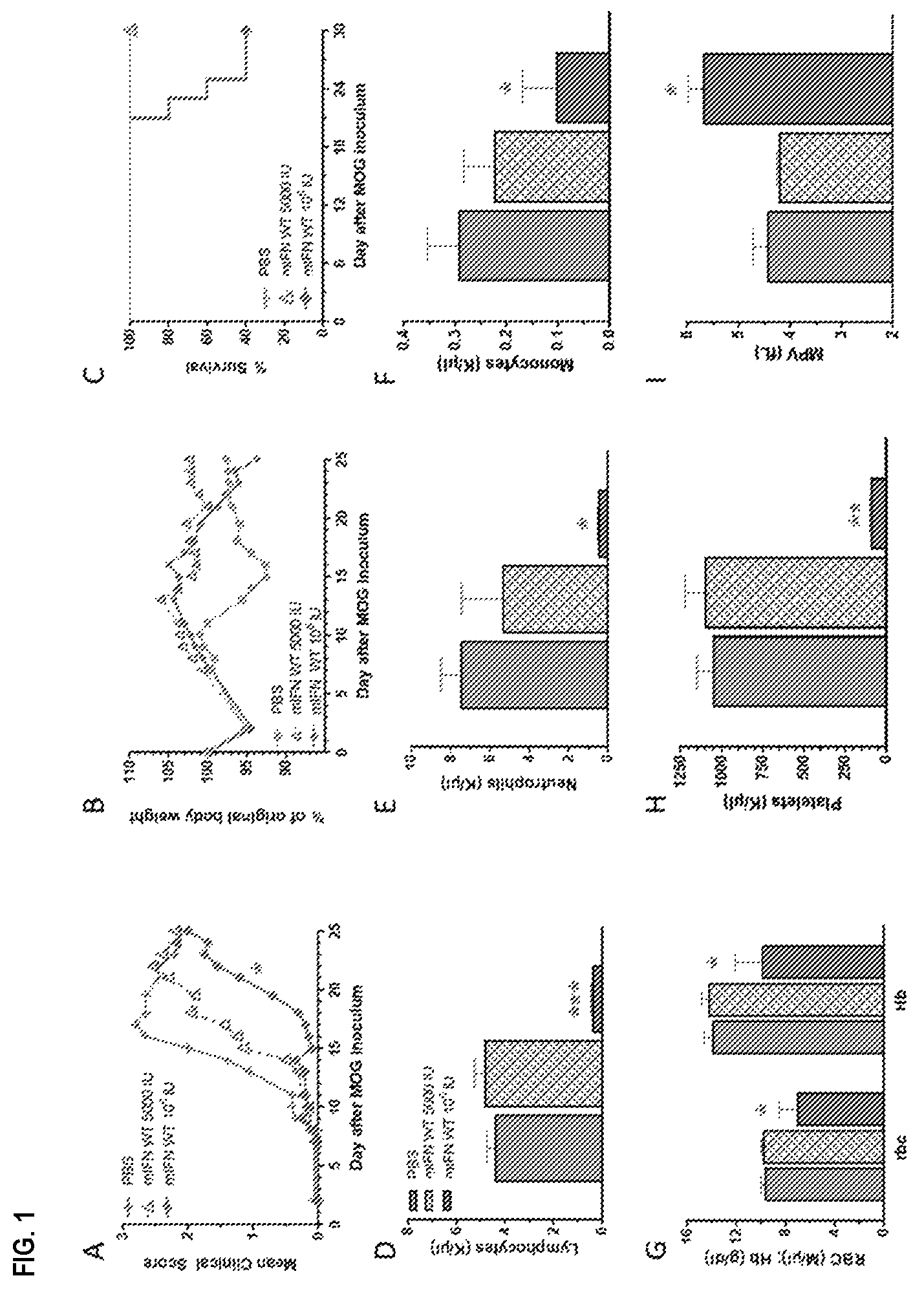 Patent US12410225 Figure 1 – Modulation of dendritic cell lineages