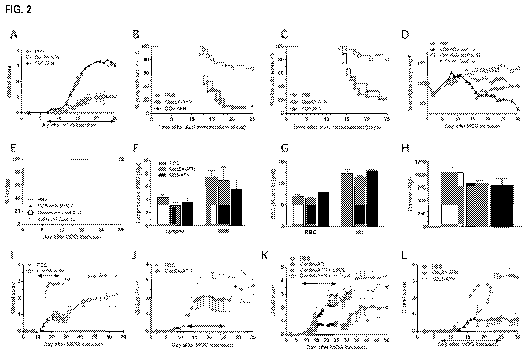 Patent US12410225 Figure 2 – Modulation of dendritic cell lineages
