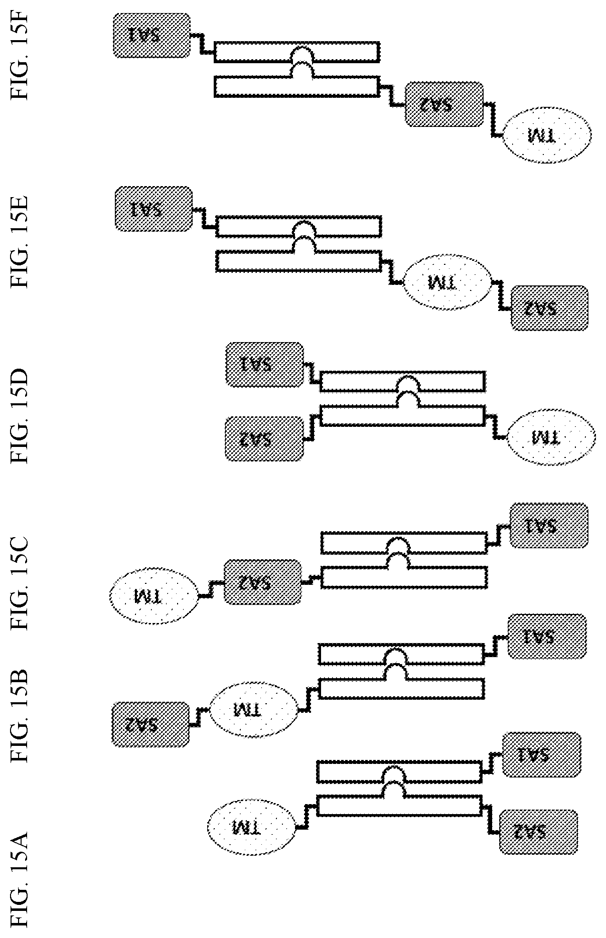 Patent US12410225 Figure 17 – Modulation of dendritic cell lineages