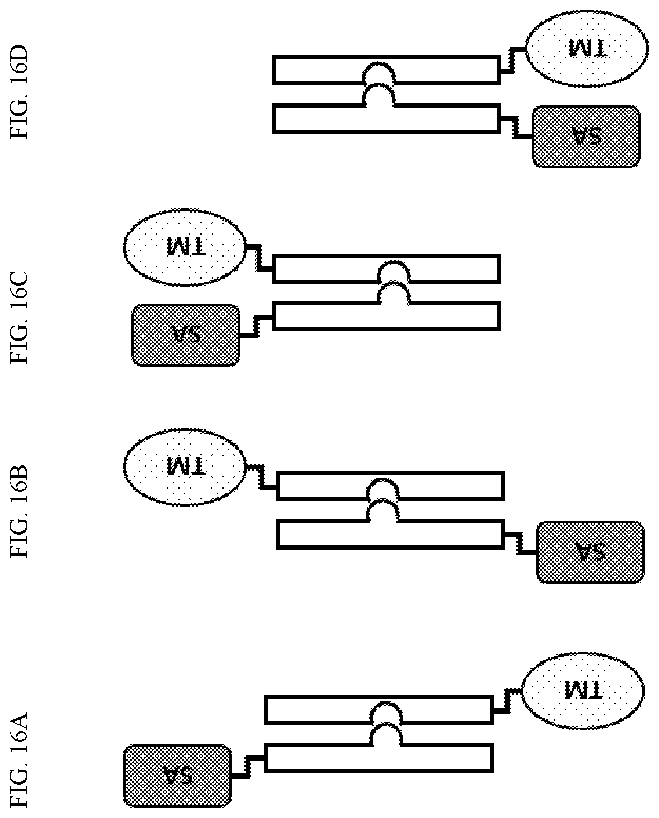 Patent US12410225 Figure 19 – Modulation of dendritic cell lineages