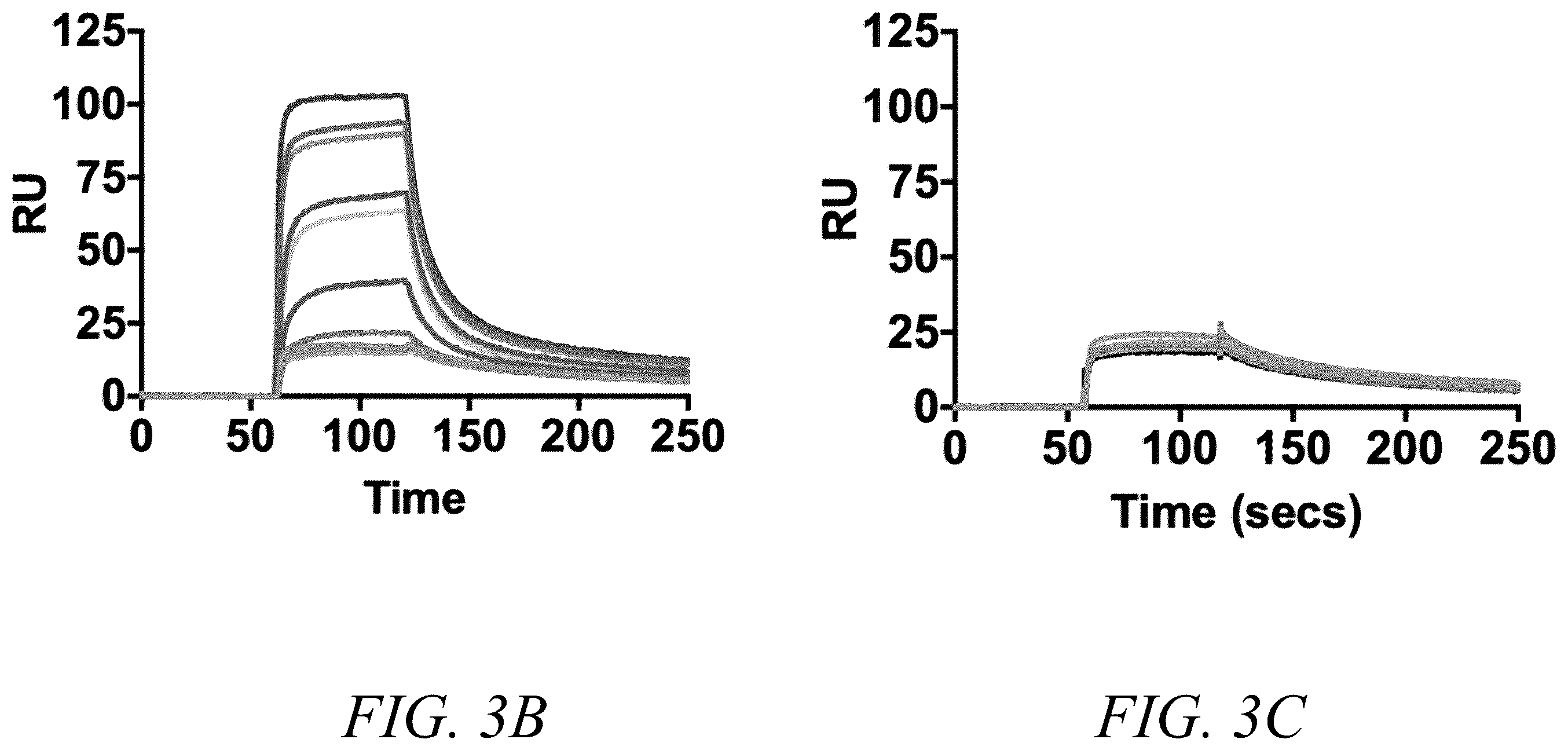 Patent US12410226 Figure 4 – Interferon-gamma biased agonists