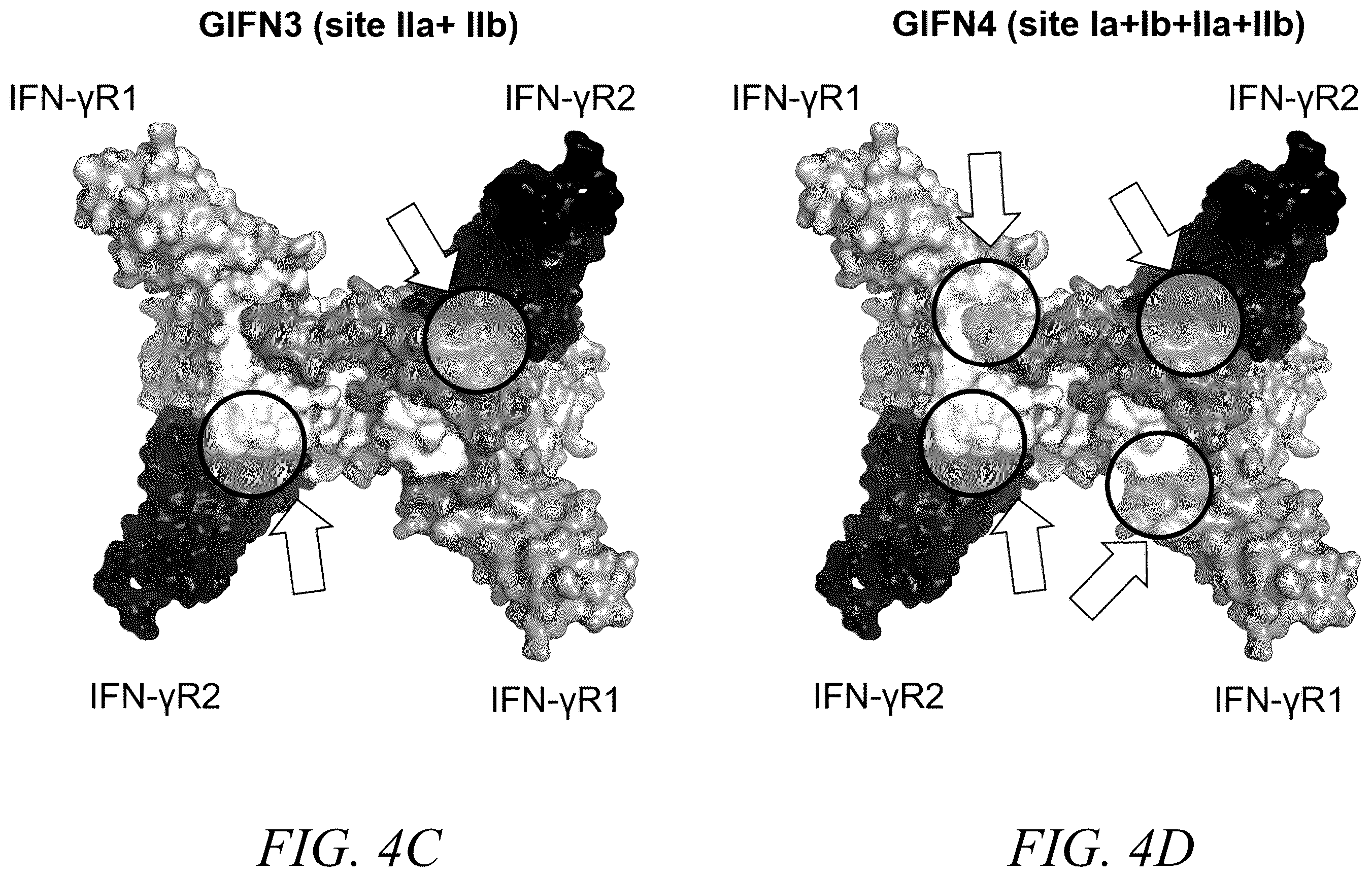 Patent US12410226 Figure 6 – Interferon-gamma biased agonists