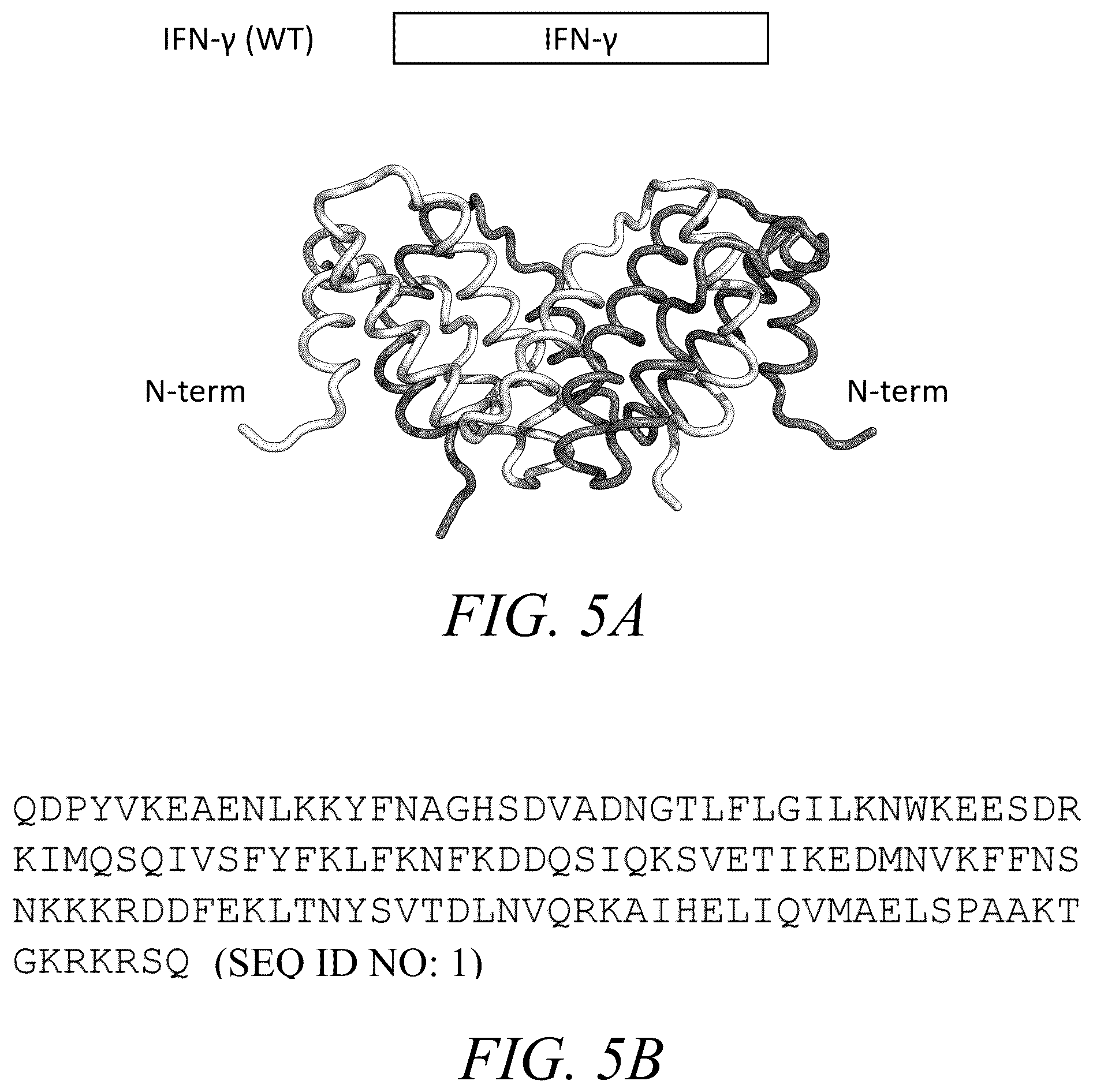 Patent US12410226 Figure 7 – Interferon-gamma biased agonists