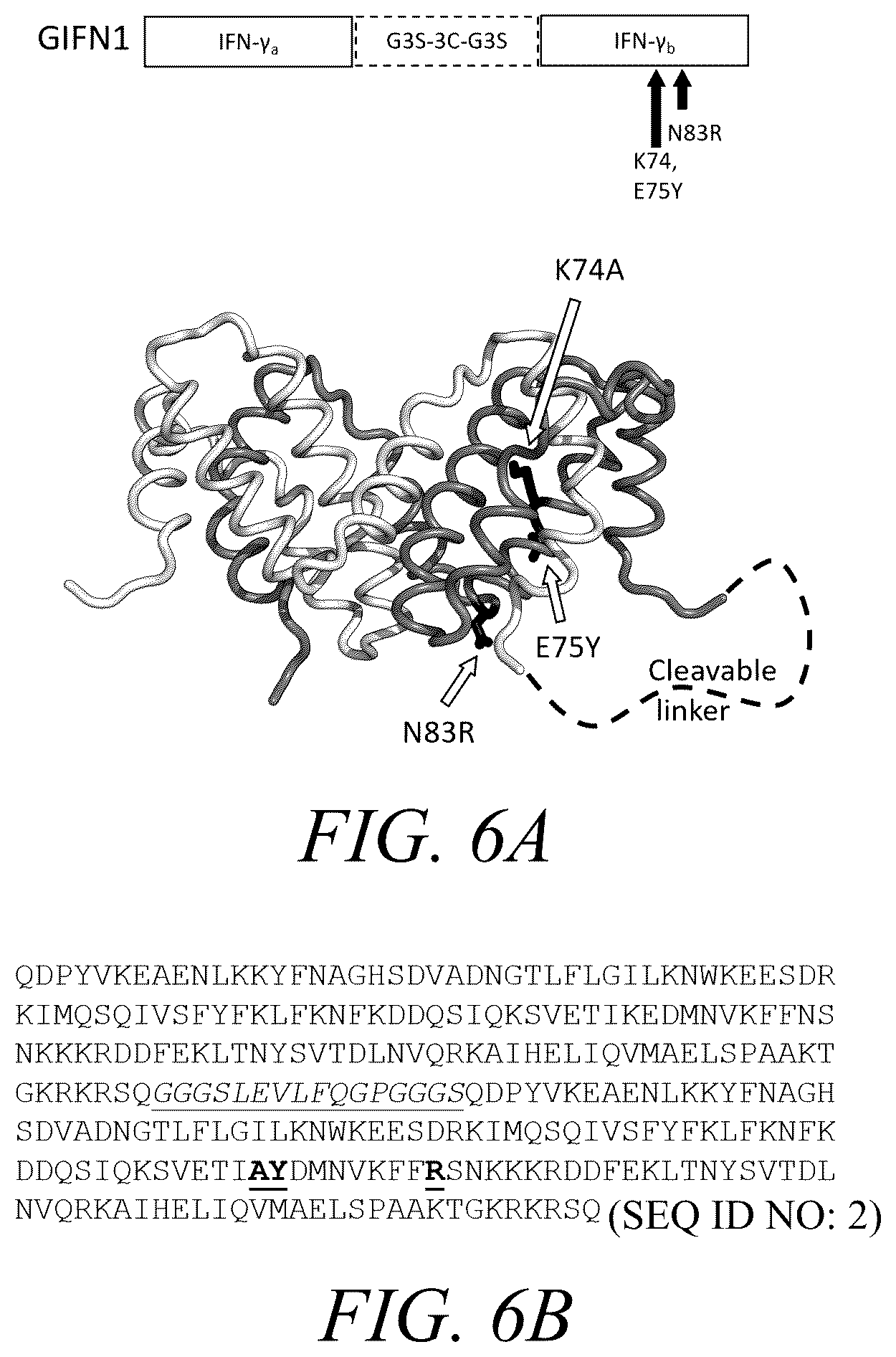 Patent US12410226 Figure 8 – Interferon-gamma biased agonists