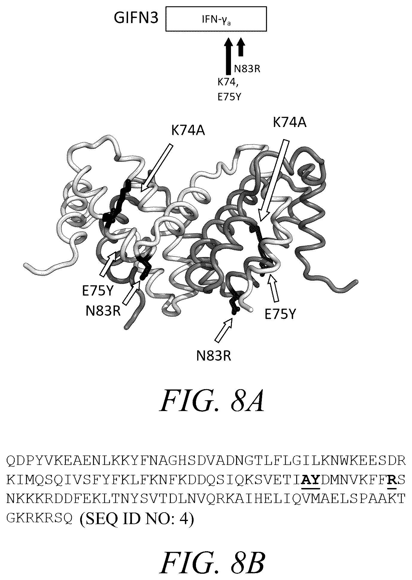 Patent US12410226 Figure 10 – Interferon-gamma biased agonists