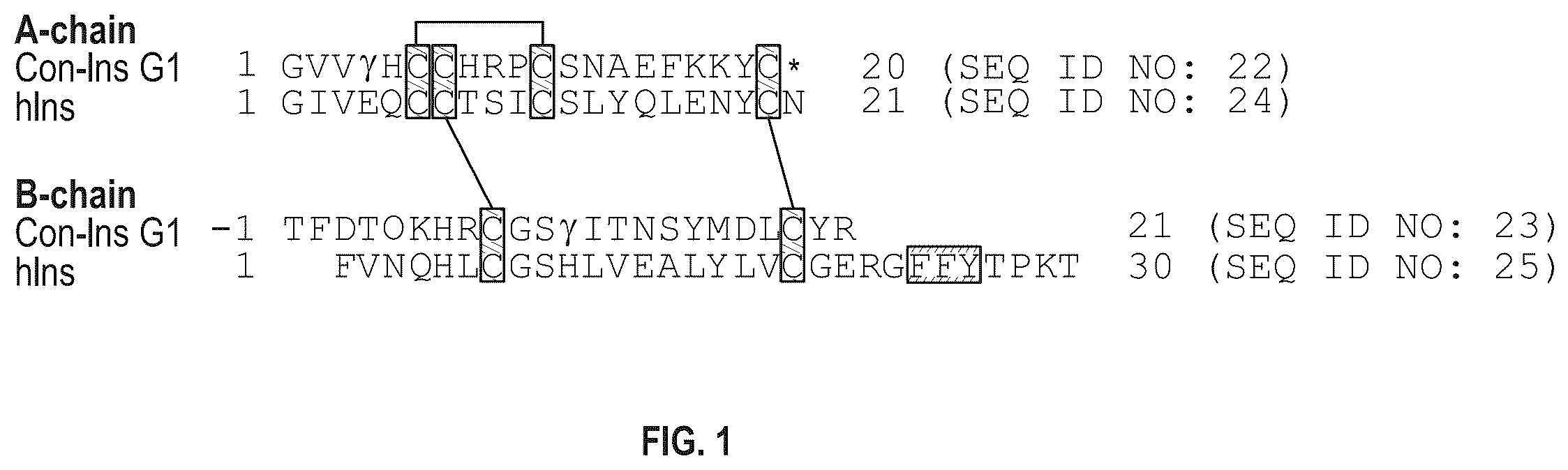 Patent US12410228 Figure 1 – Insulin analogs