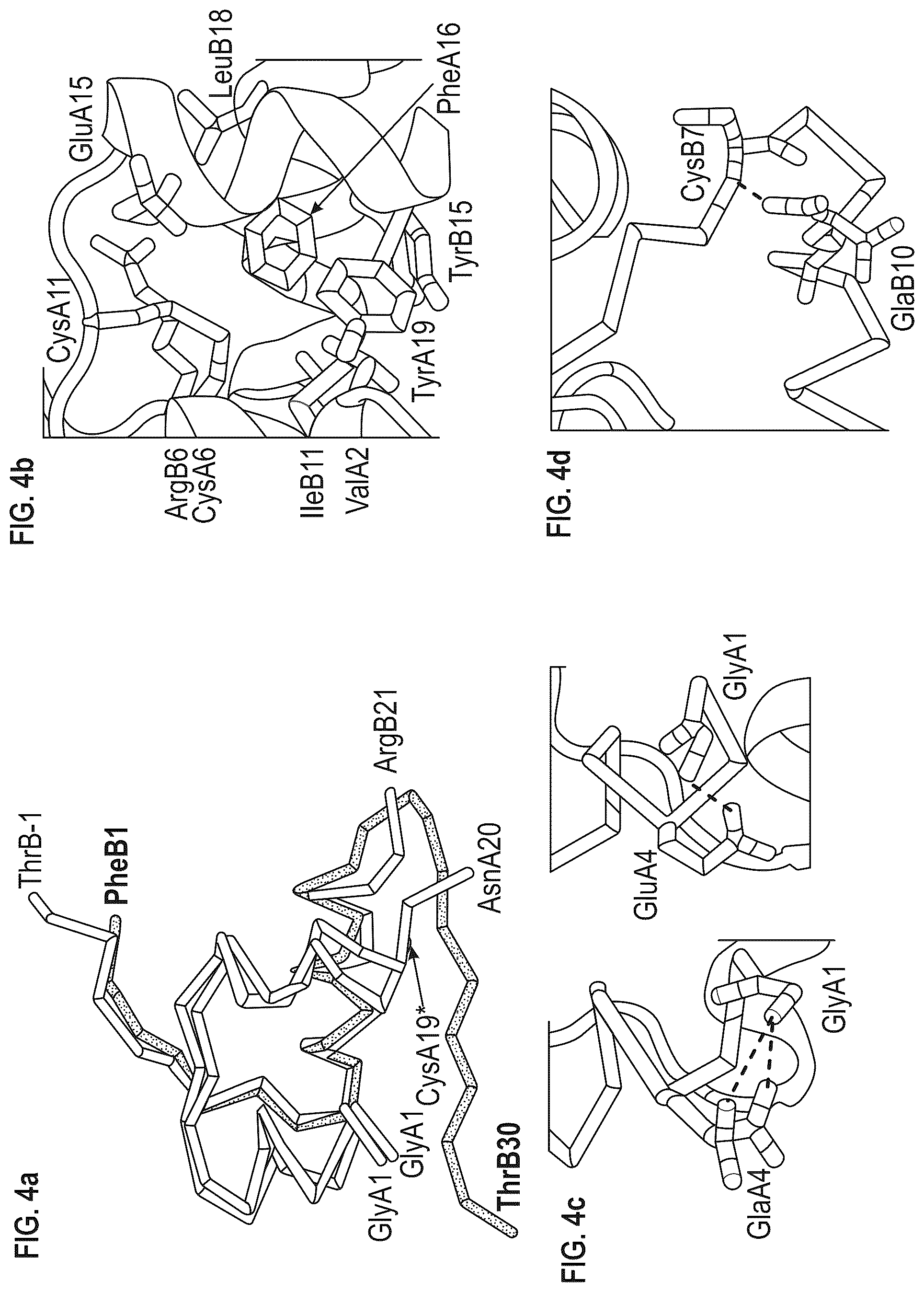 Patent US12410228 Figure 4 – Insulin analogs