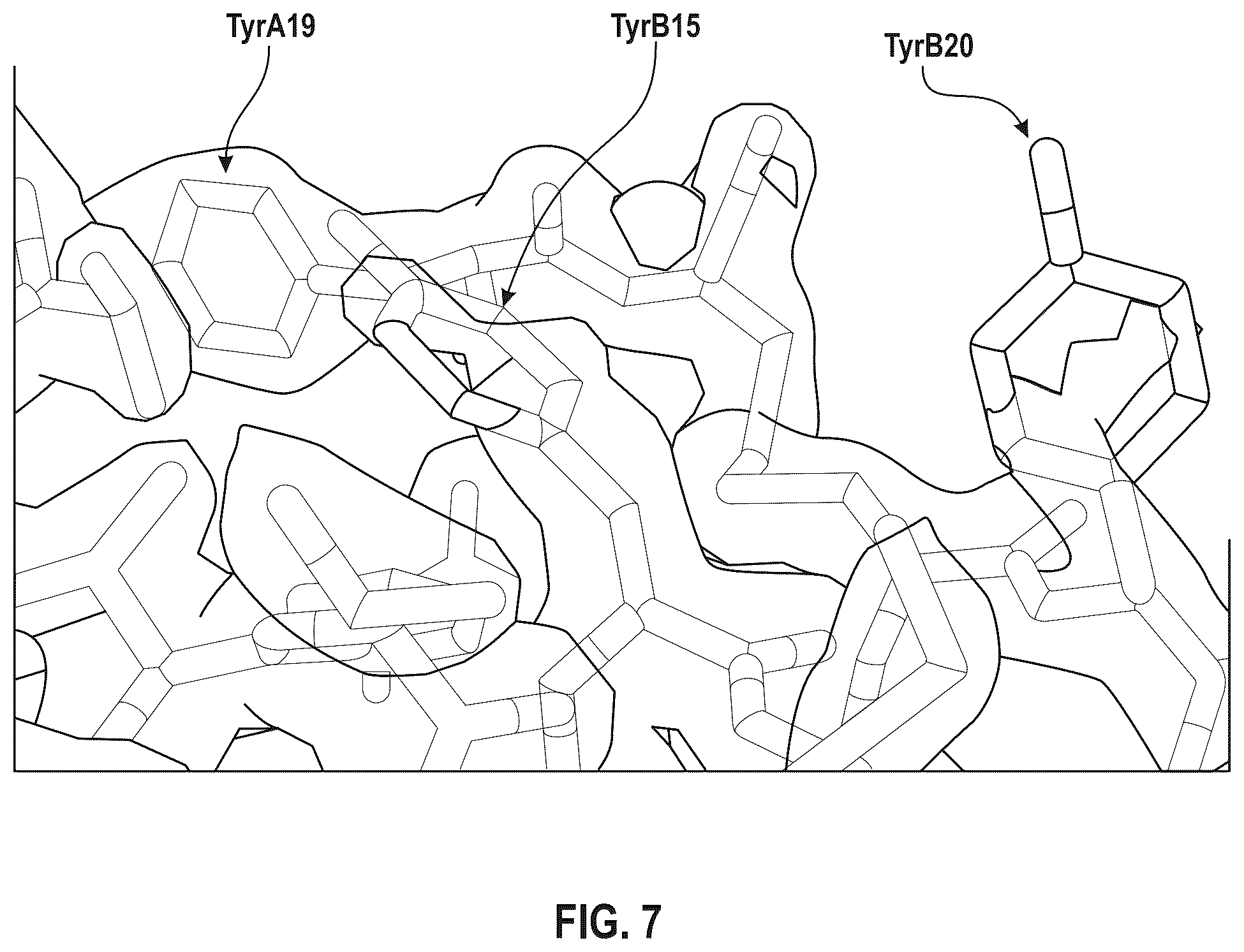 Patent US12410228 Figure 8 – Insulin analogs