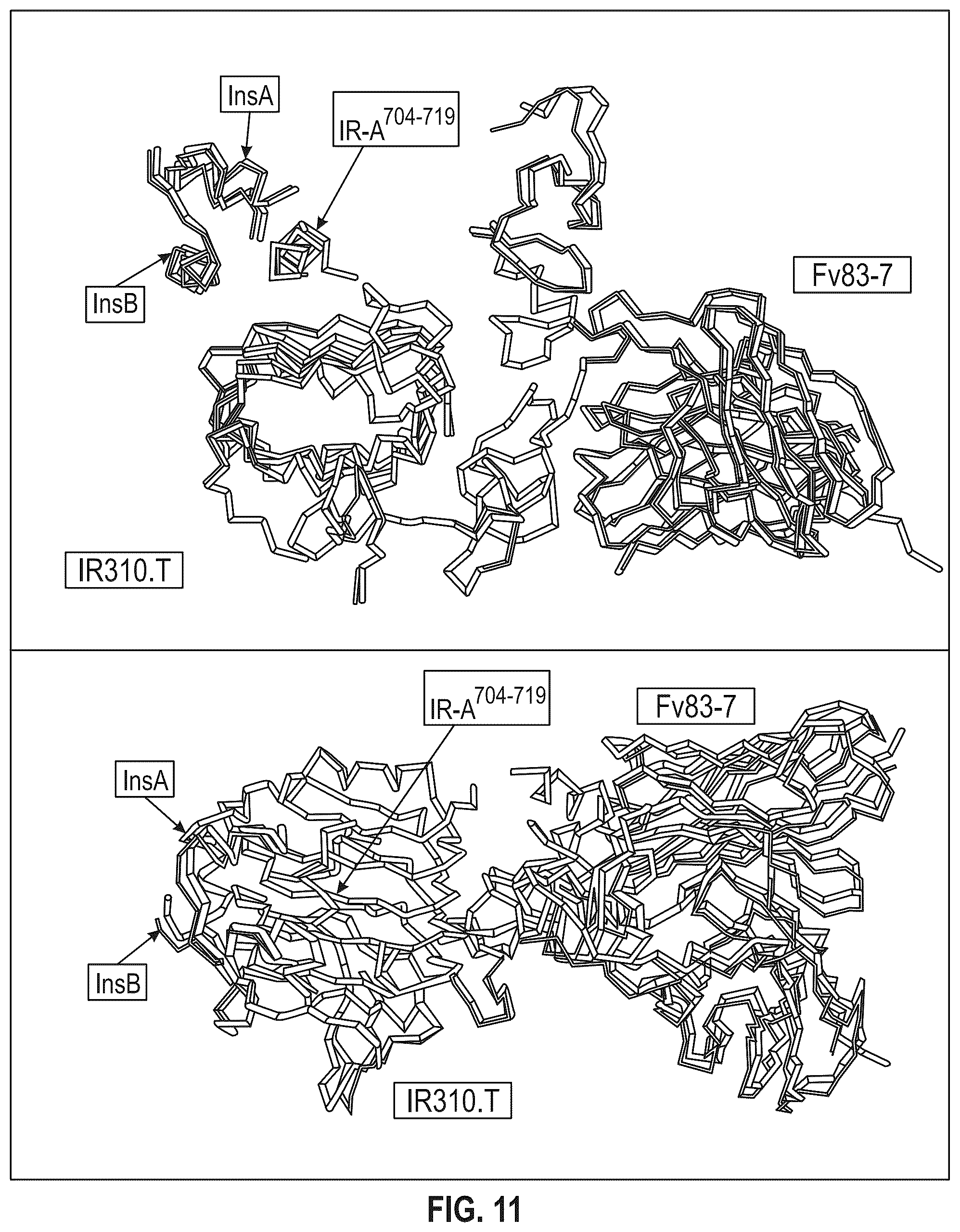Patent US12410228 Figure 12 – Insulin analogs