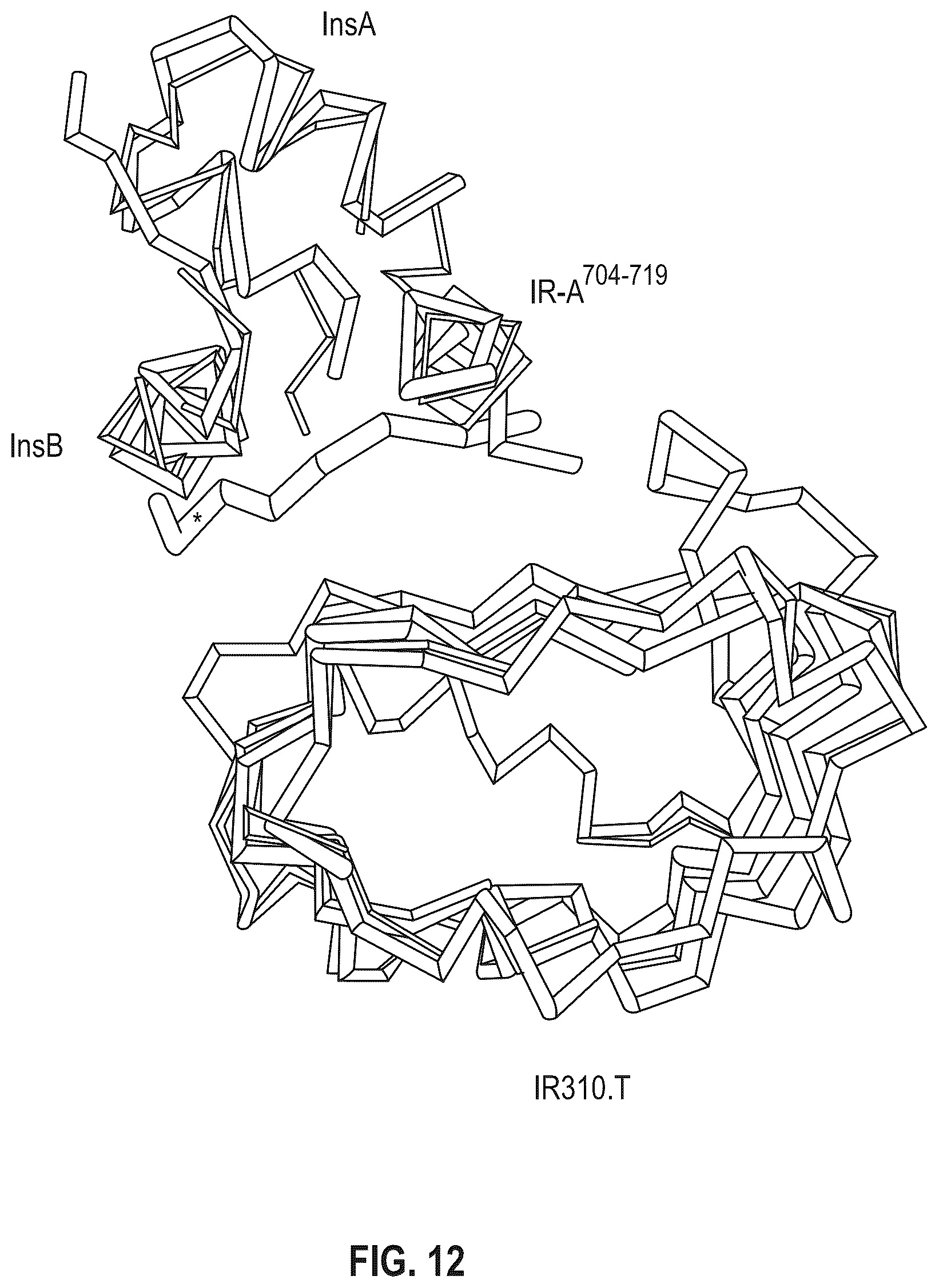 Patent US12410228 Figure 13 – Insulin analogs