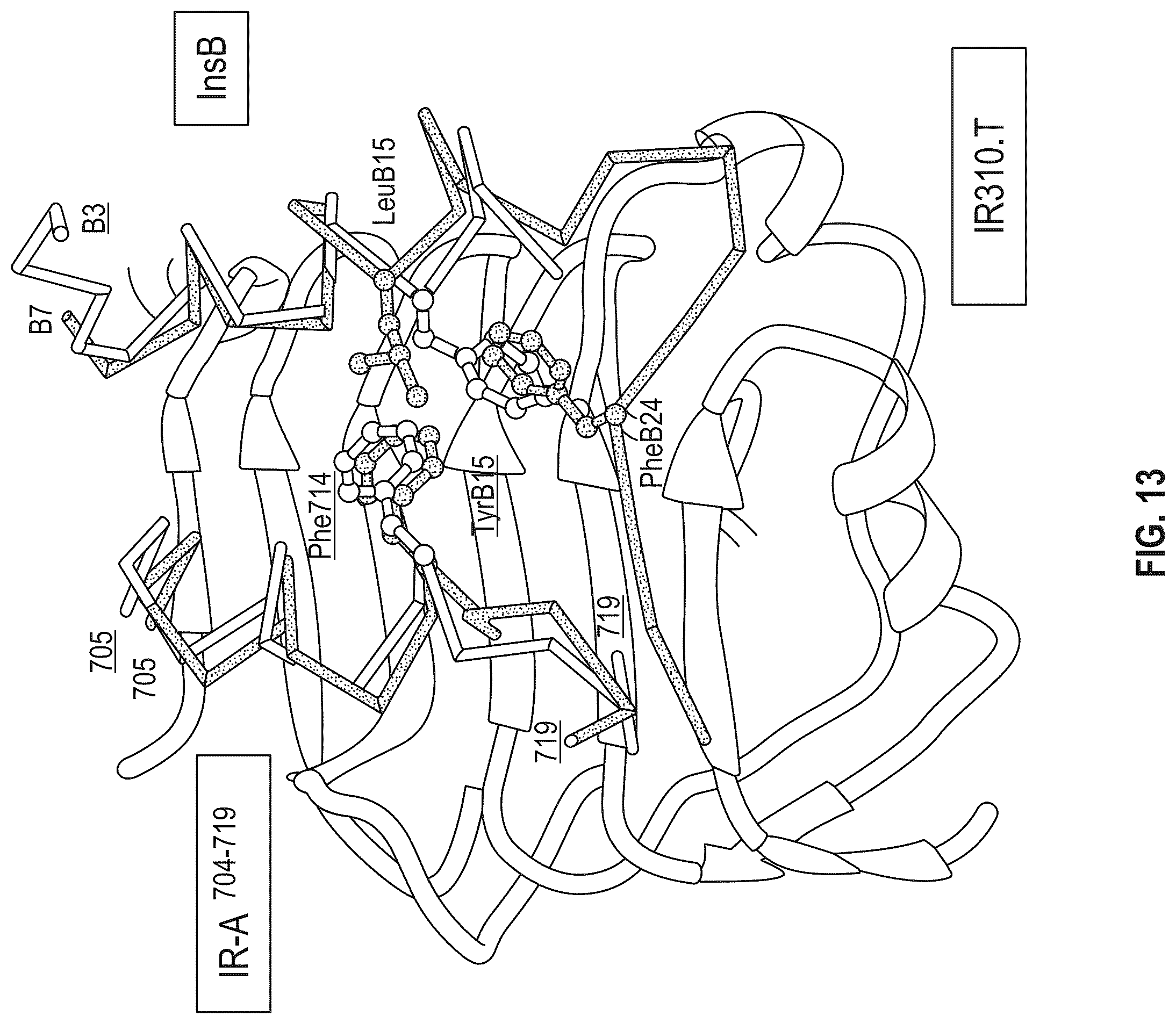 Patent US12410228 Figure 14 – Insulin analogs