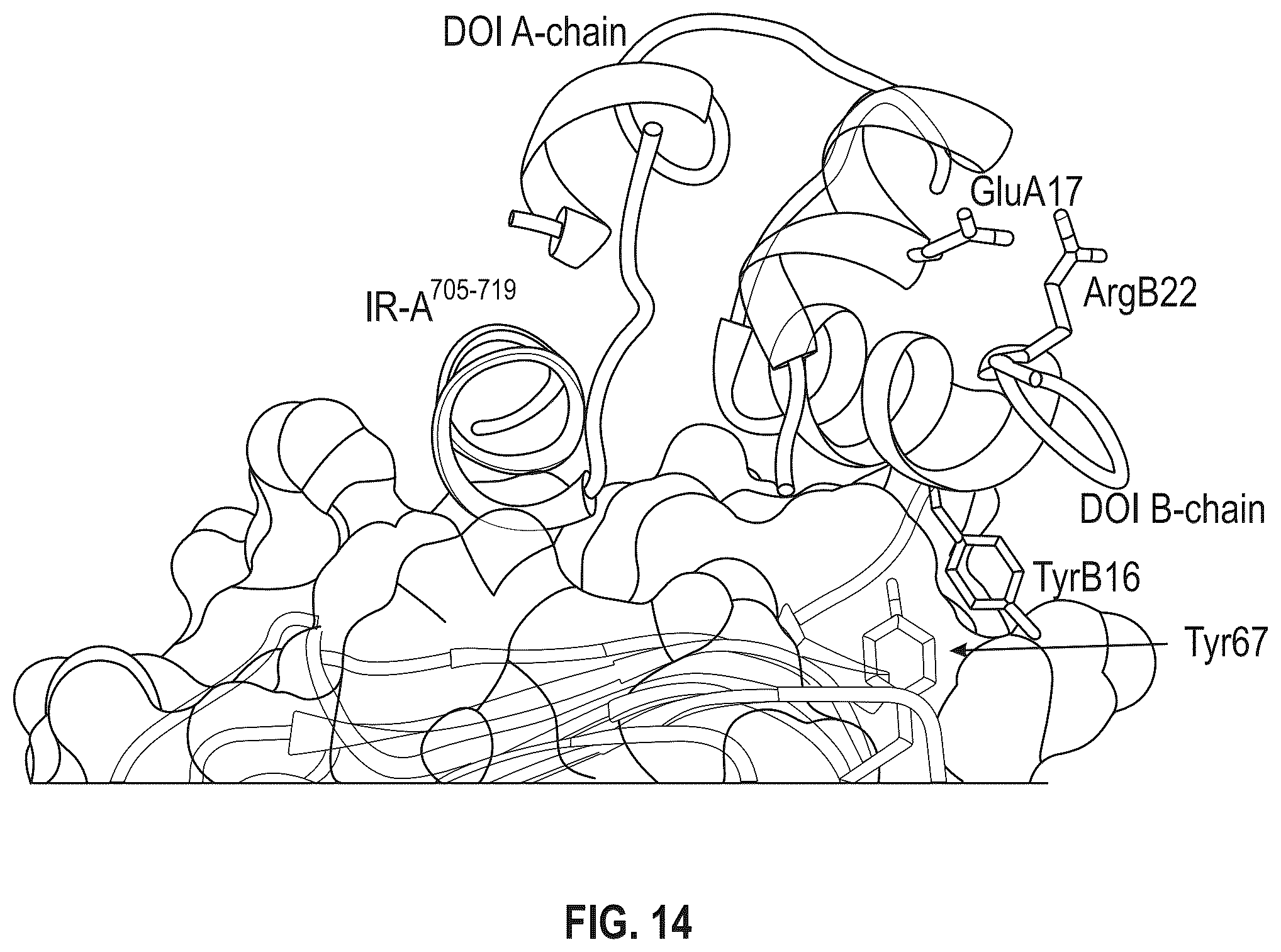 Patent US12410228 Figure 15 – Insulin analogs