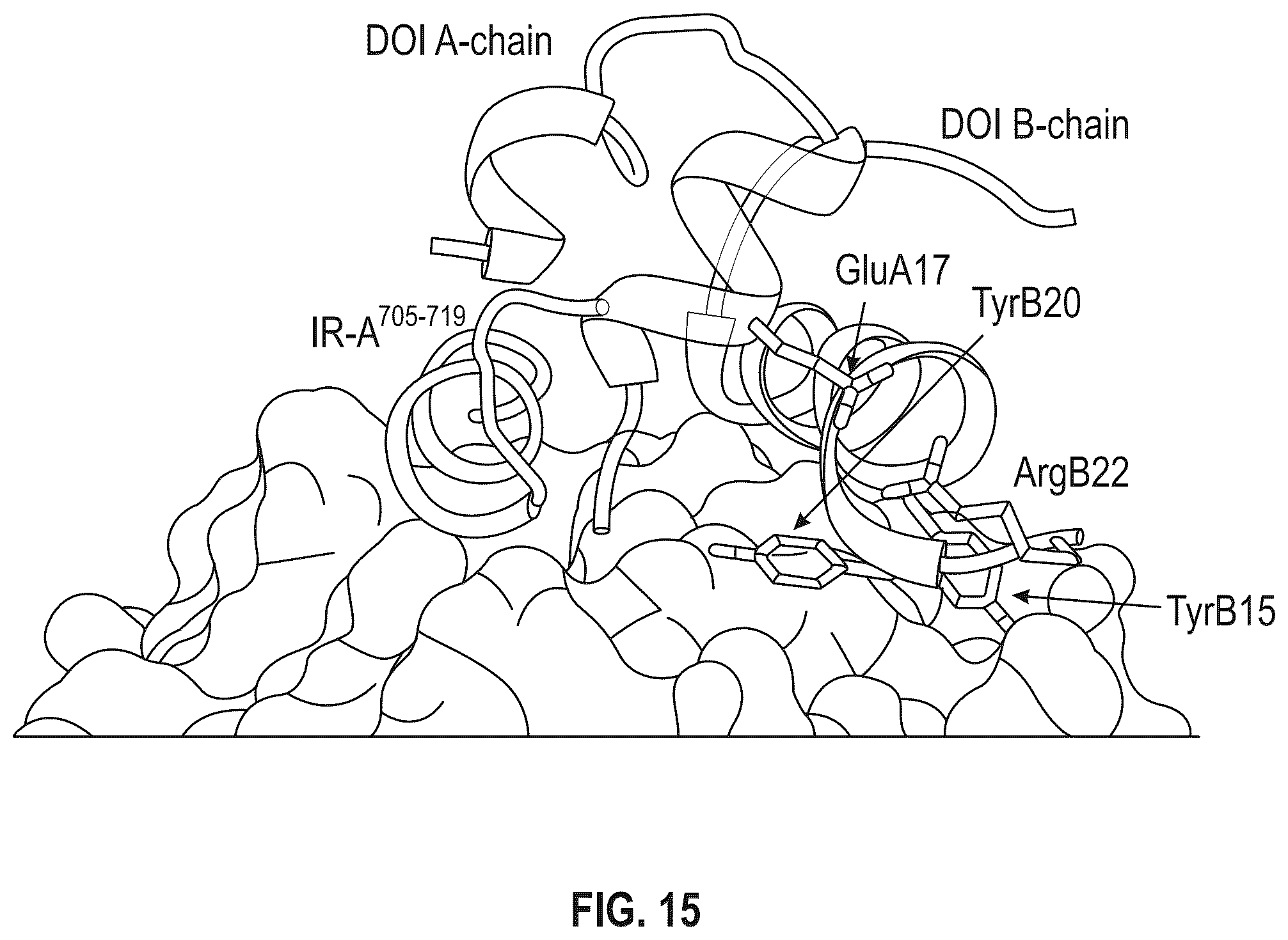 Patent US12410228 Figure 16 – Insulin analogs