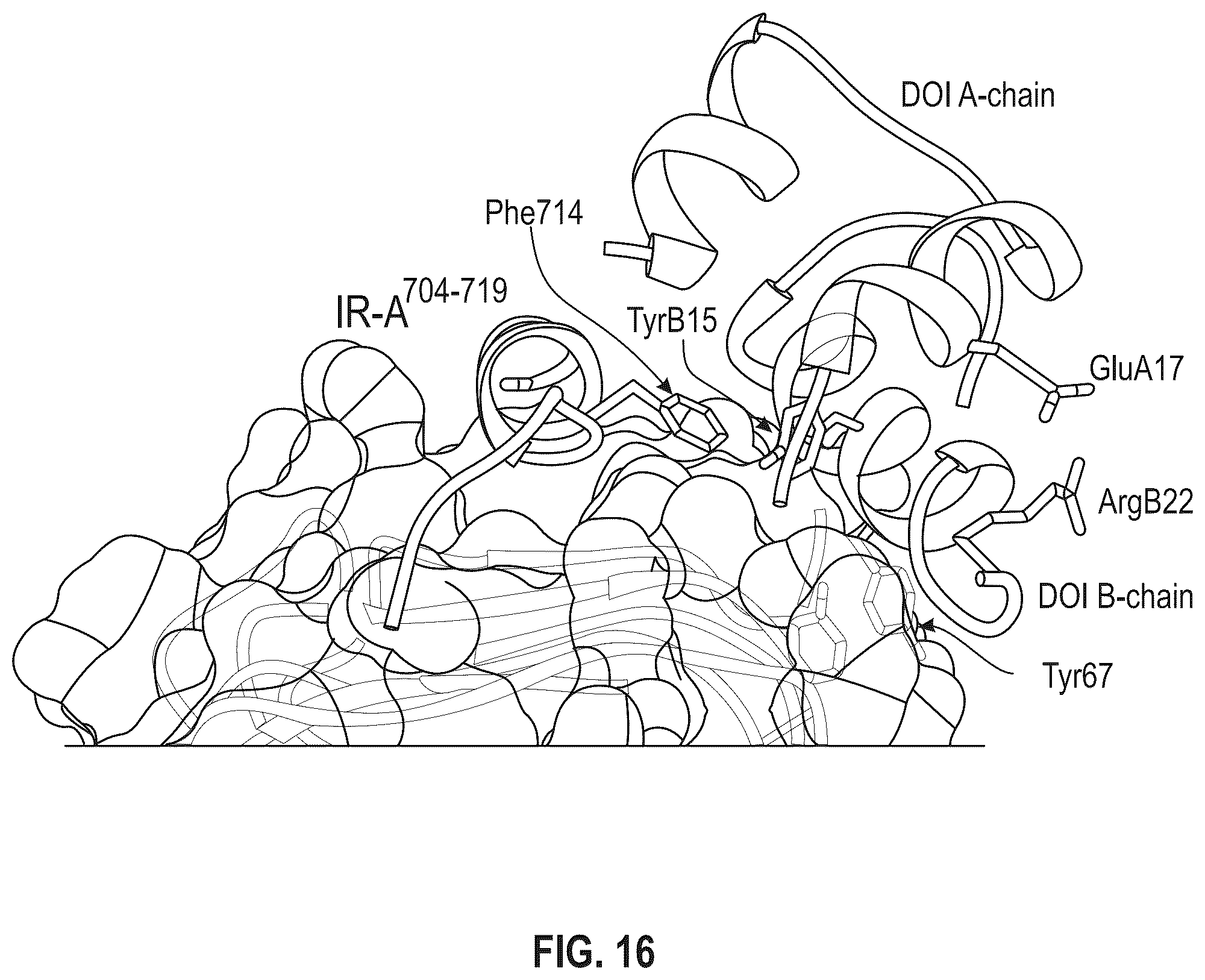 Patent US12410228 Figure 17 – Insulin analogs