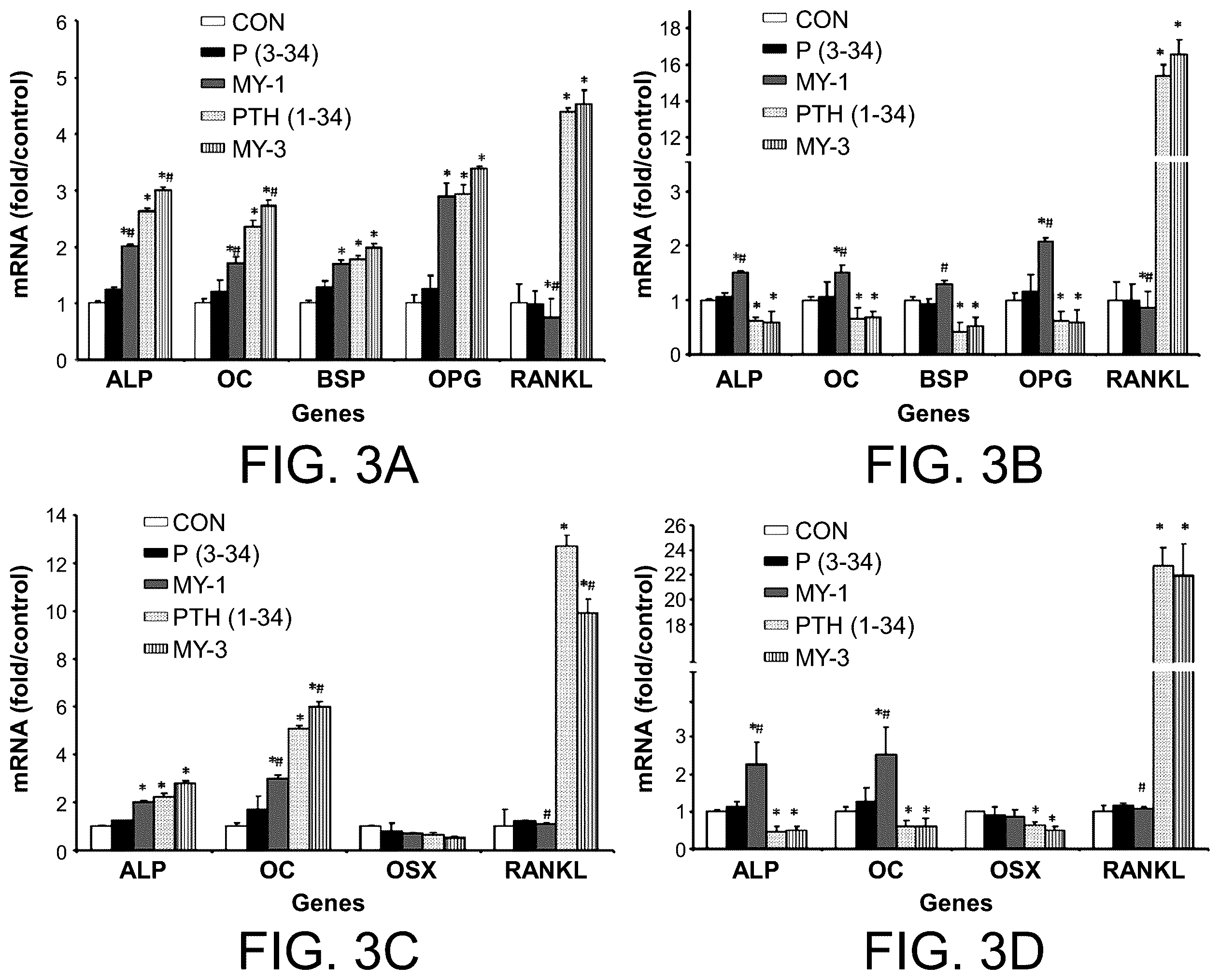 Patent US12410229 Figure 3 – PTH mimetic peptide based on protein domain reconstruction and application thereof