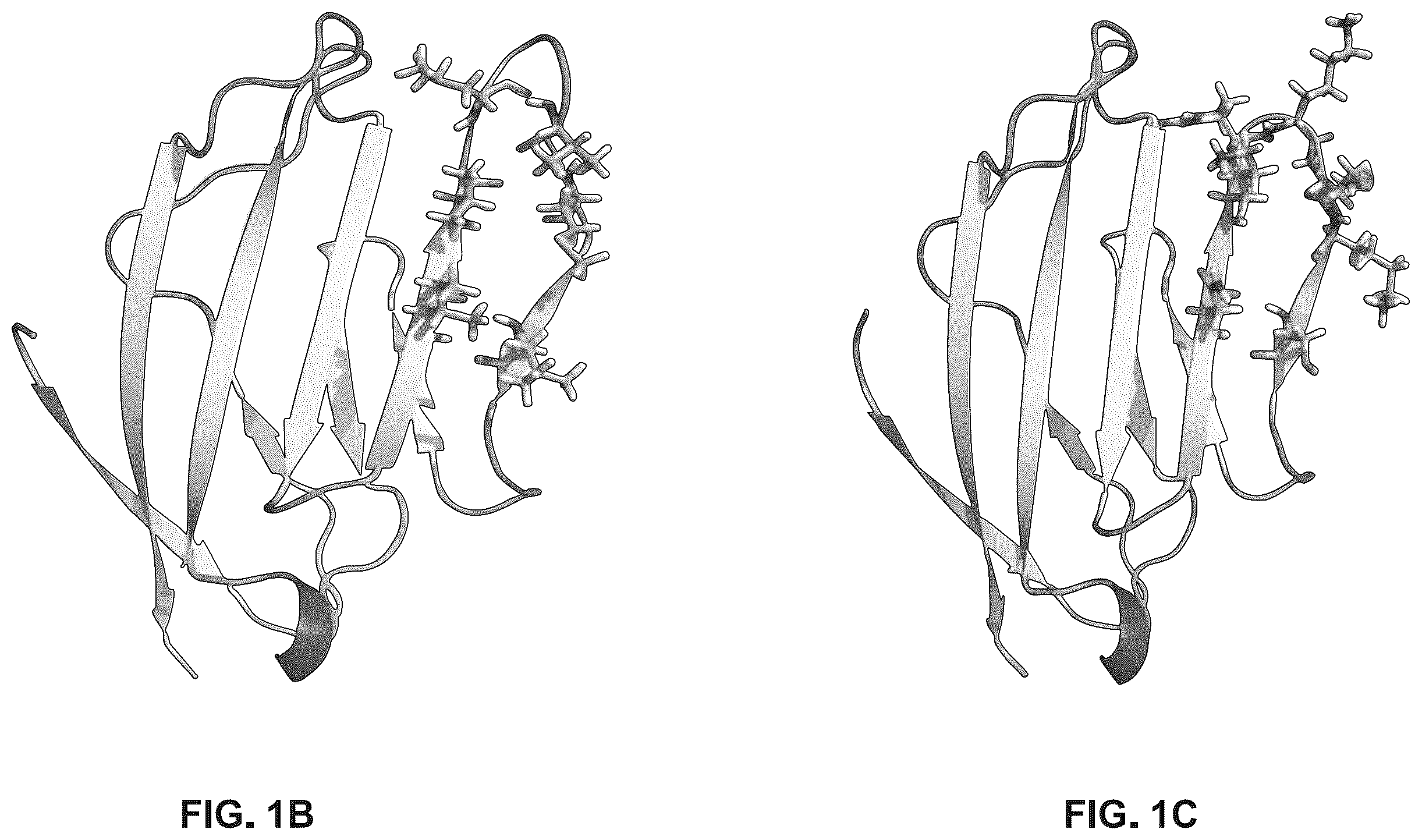 Patent US12410230 Figure 2 – Anti-angiogenic agent and methods of using such agent