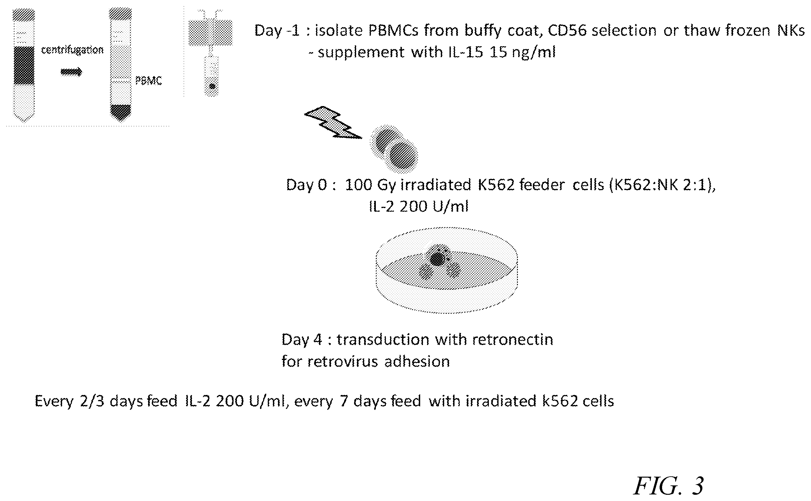 Patent US12410231 Figure 3 – Natural killer cell products and methods