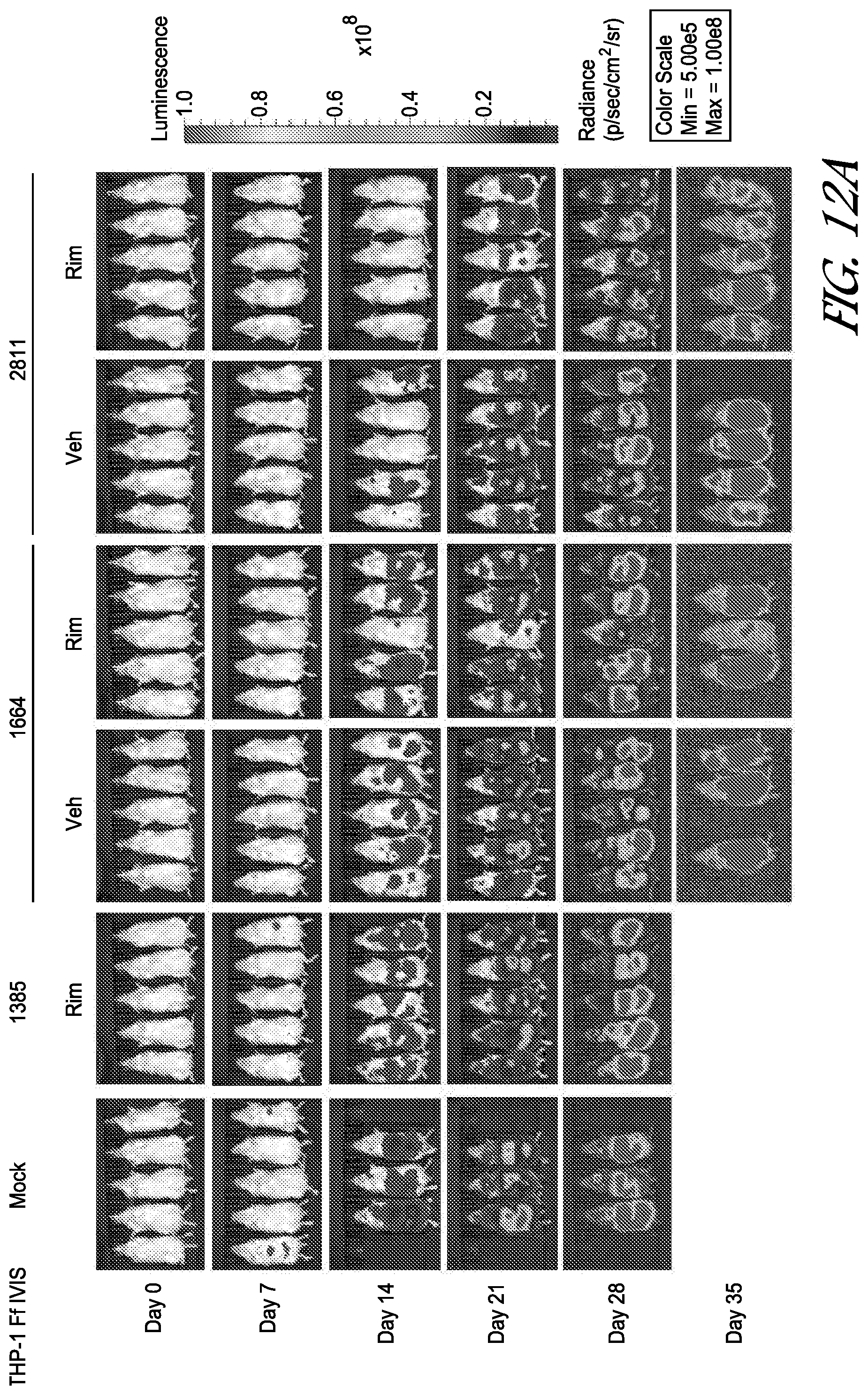 Patent US12410231 Figure 18 – Natural killer cell products and methods