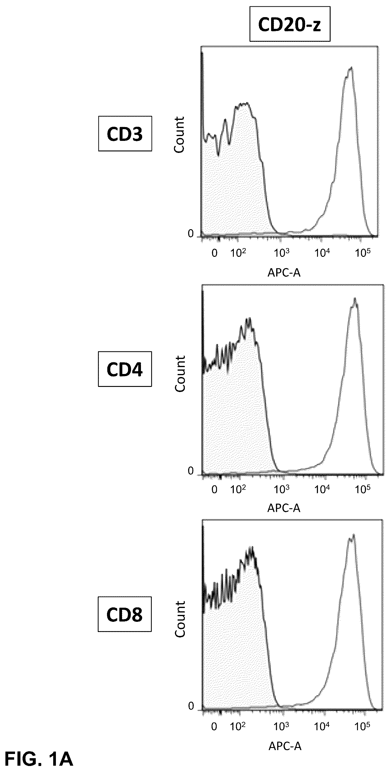Patent US12410232 Figure 1 – Treatment of a canine CD20 positive disease or condition using a canine CD20-specific chimeric antigen receptor