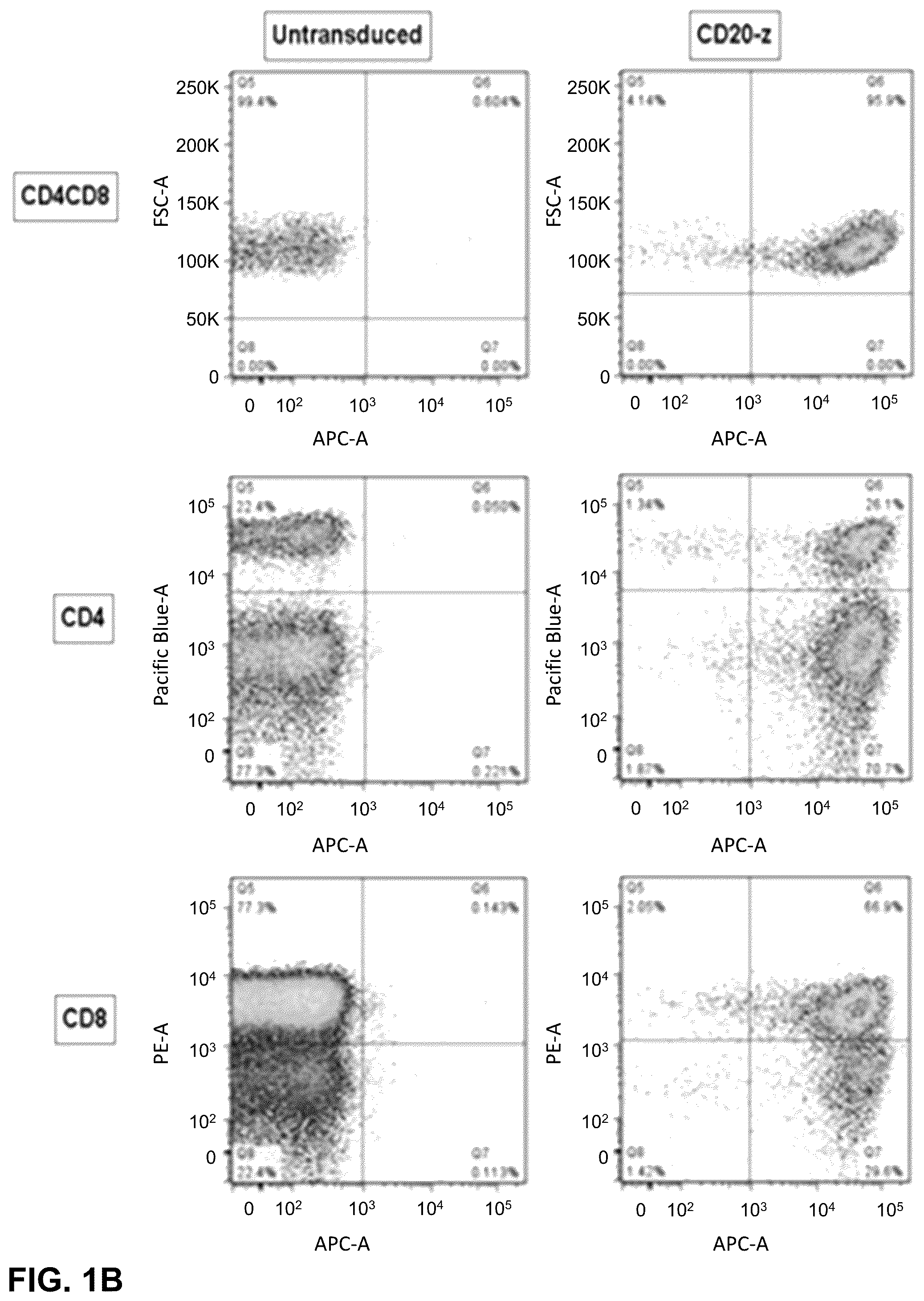 Patent US12410232 Figure 2 – Treatment of a canine CD20 positive disease or condition using a canine CD20-specific chimeric antigen receptor