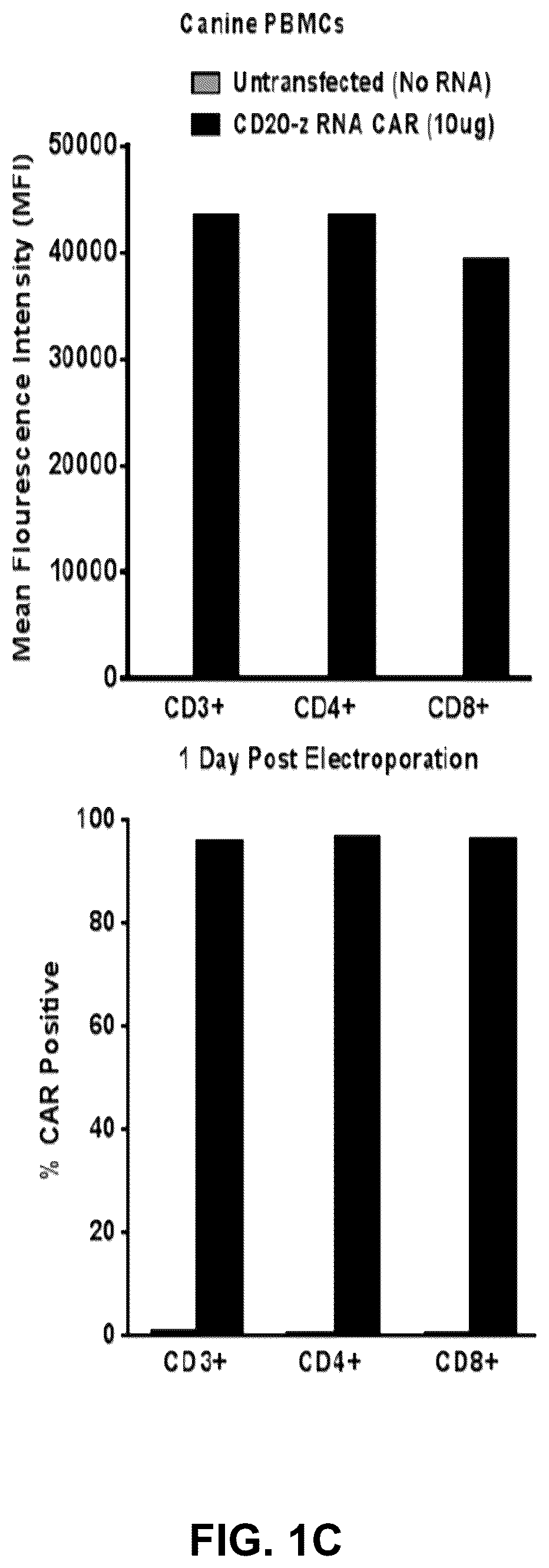 Patent US12410232 Figure 3 – Treatment of a canine CD20 positive disease or condition using a canine CD20-specific chimeric antigen receptor