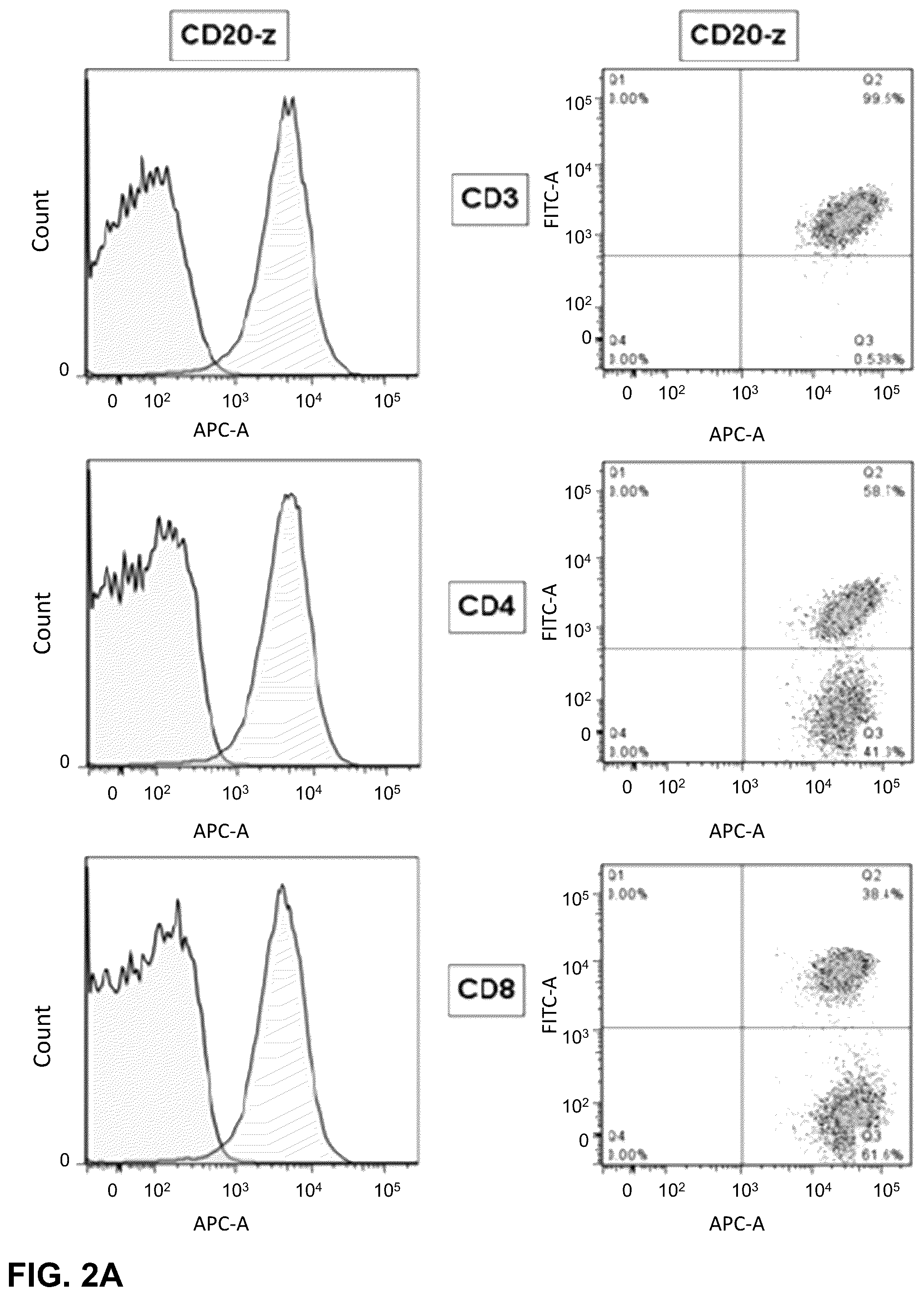Patent US12410232 Figure 4 – Treatment of a canine CD20 positive disease or condition using a canine CD20-specific chimeric antigen receptor
