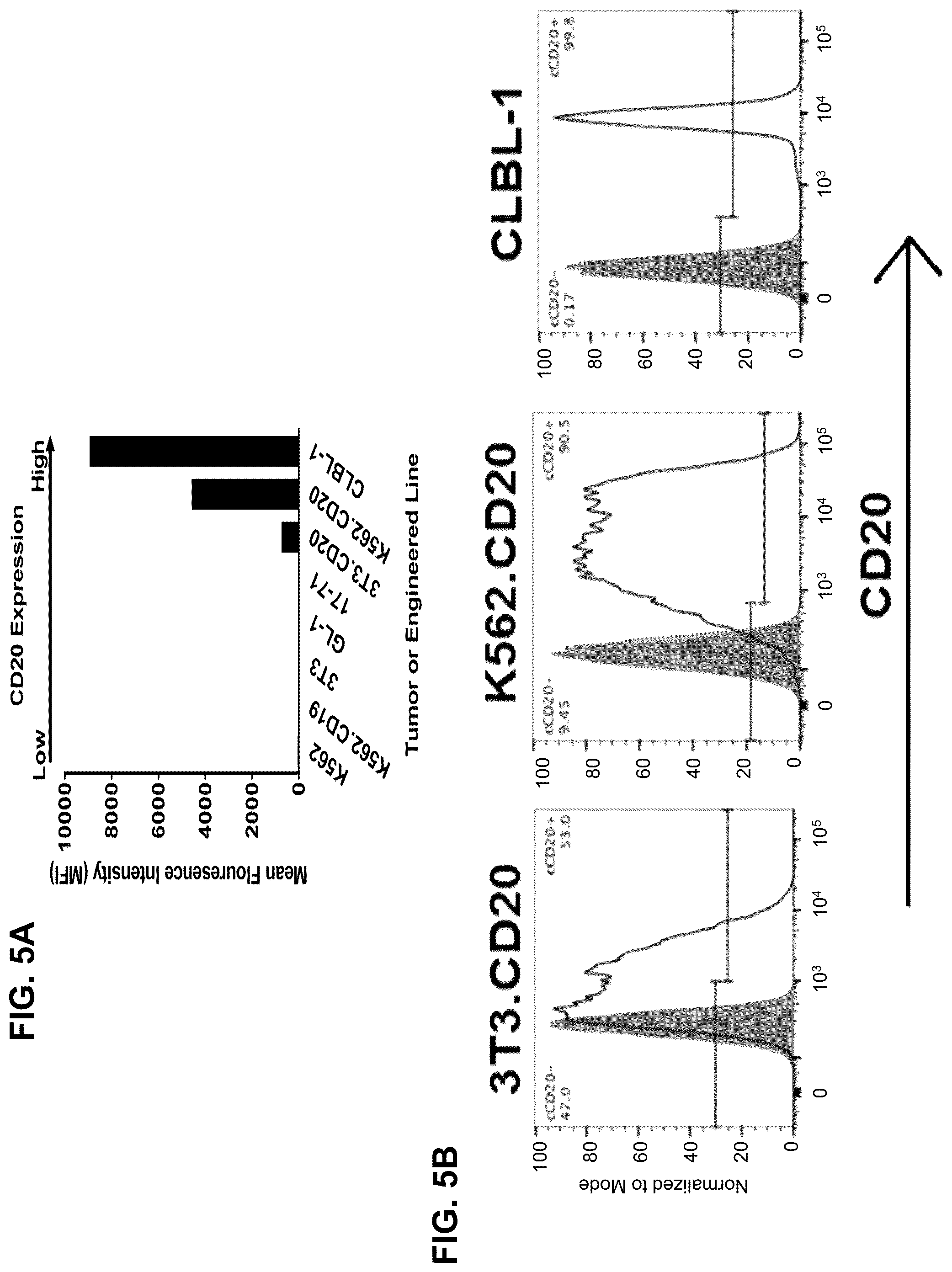 Patent US12410232 Figure 8 – Treatment of a canine CD20 positive disease or condition using a canine CD20-specific chimeric antigen receptor