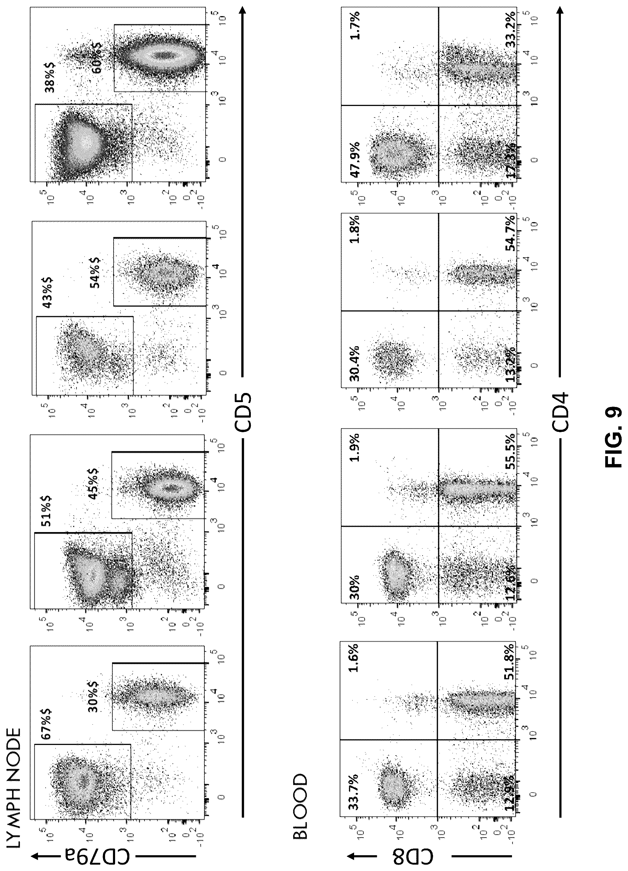 Patent US12410232 Figure 13 – Treatment of a canine CD20 positive disease or condition using a canine CD20-specific chimeric antigen receptor