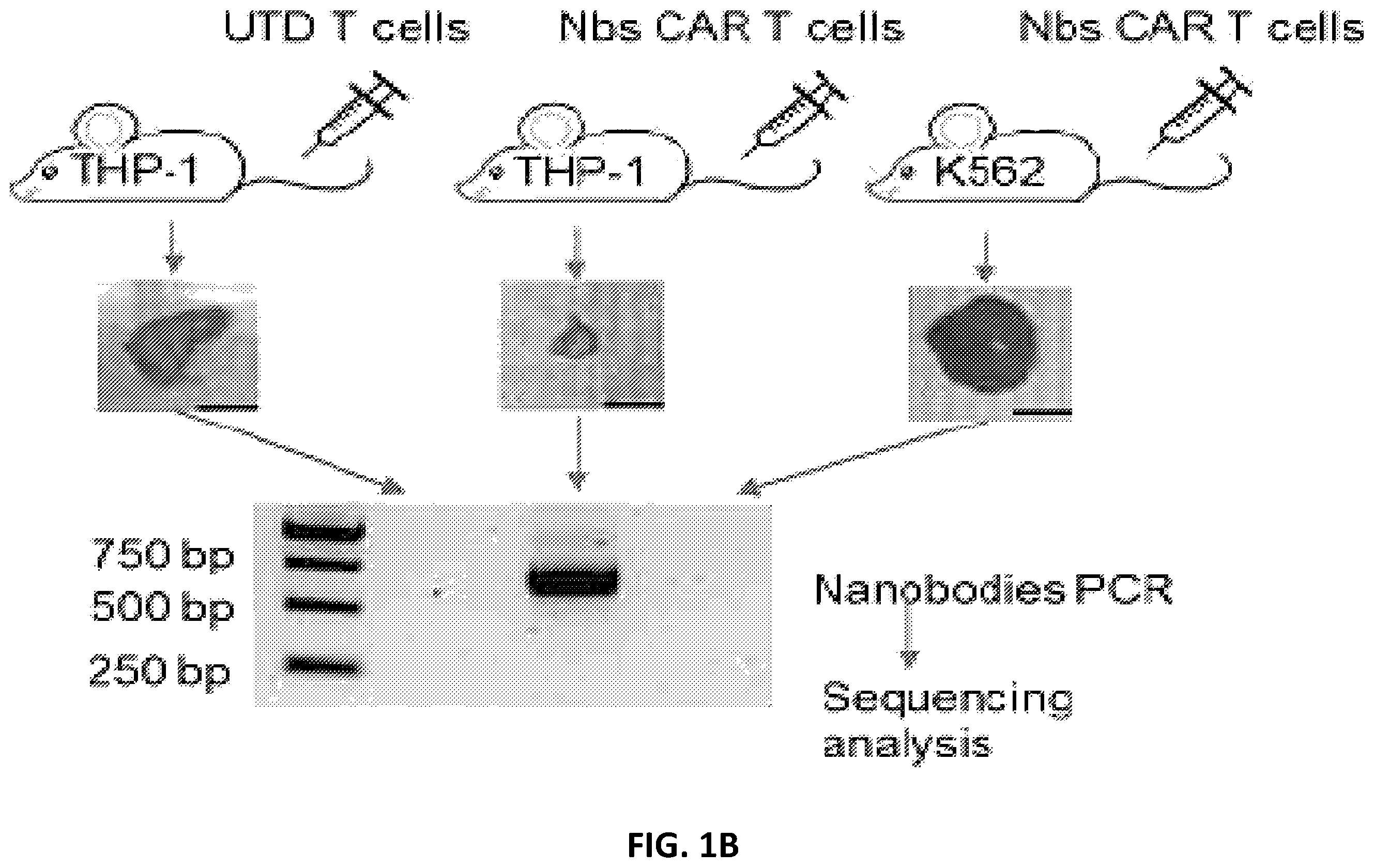 Patent US12410234 Figure 2 – Compositions and methods for retrieving tumor-related antibodies and antigens